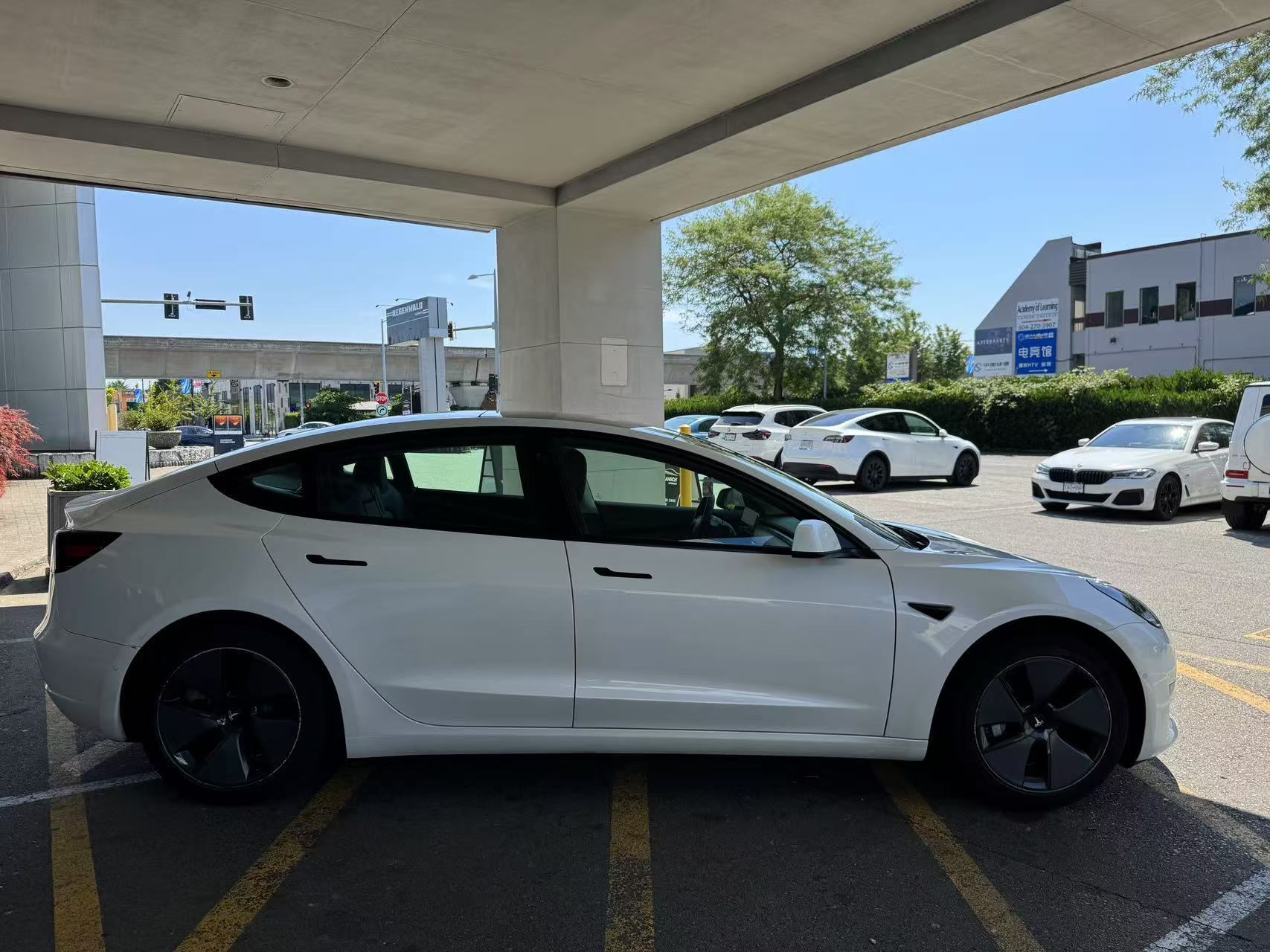 /1475356bcltd/2021-Tesla-Model3-20981625320855213.jpg