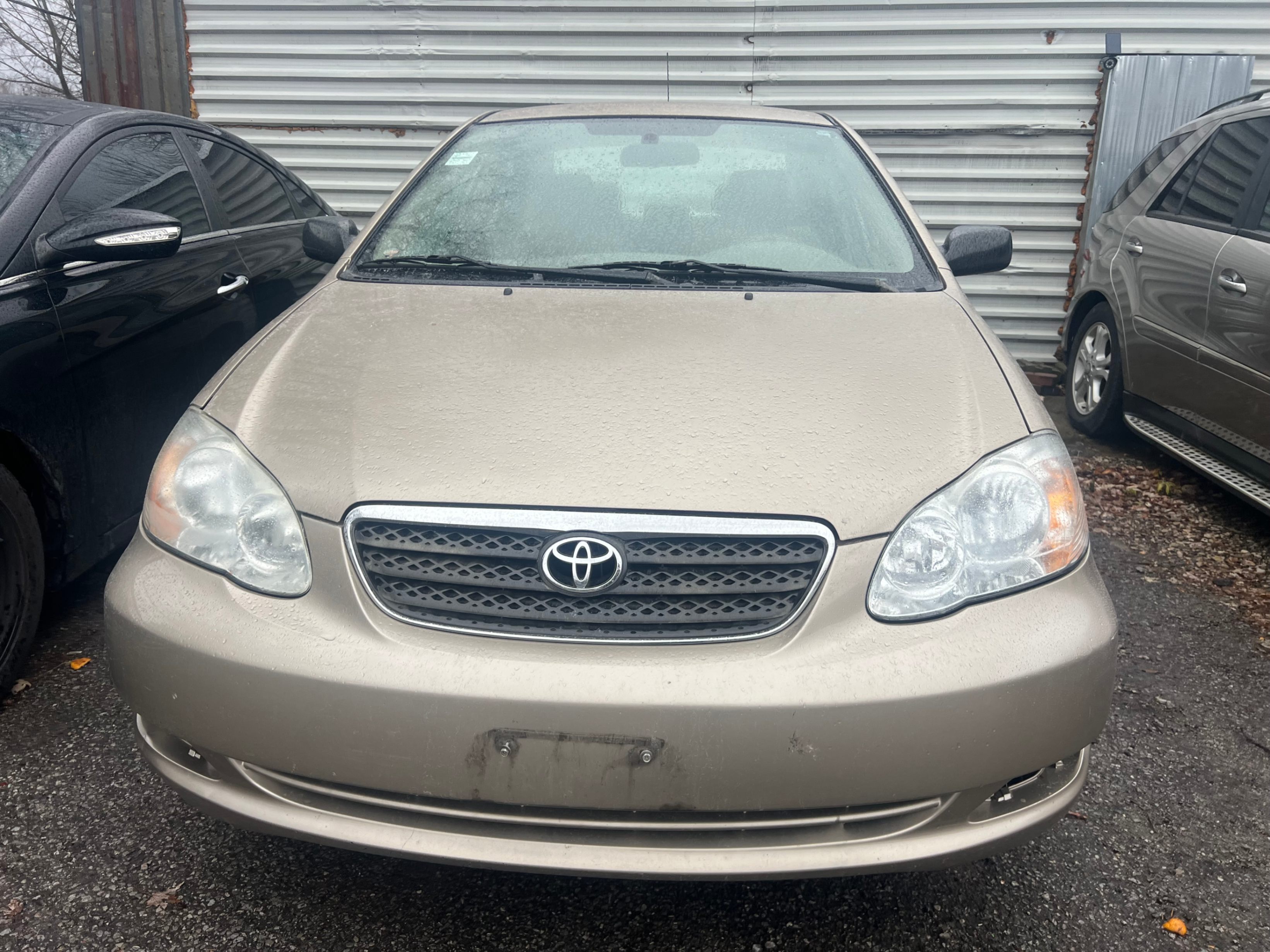 special-car