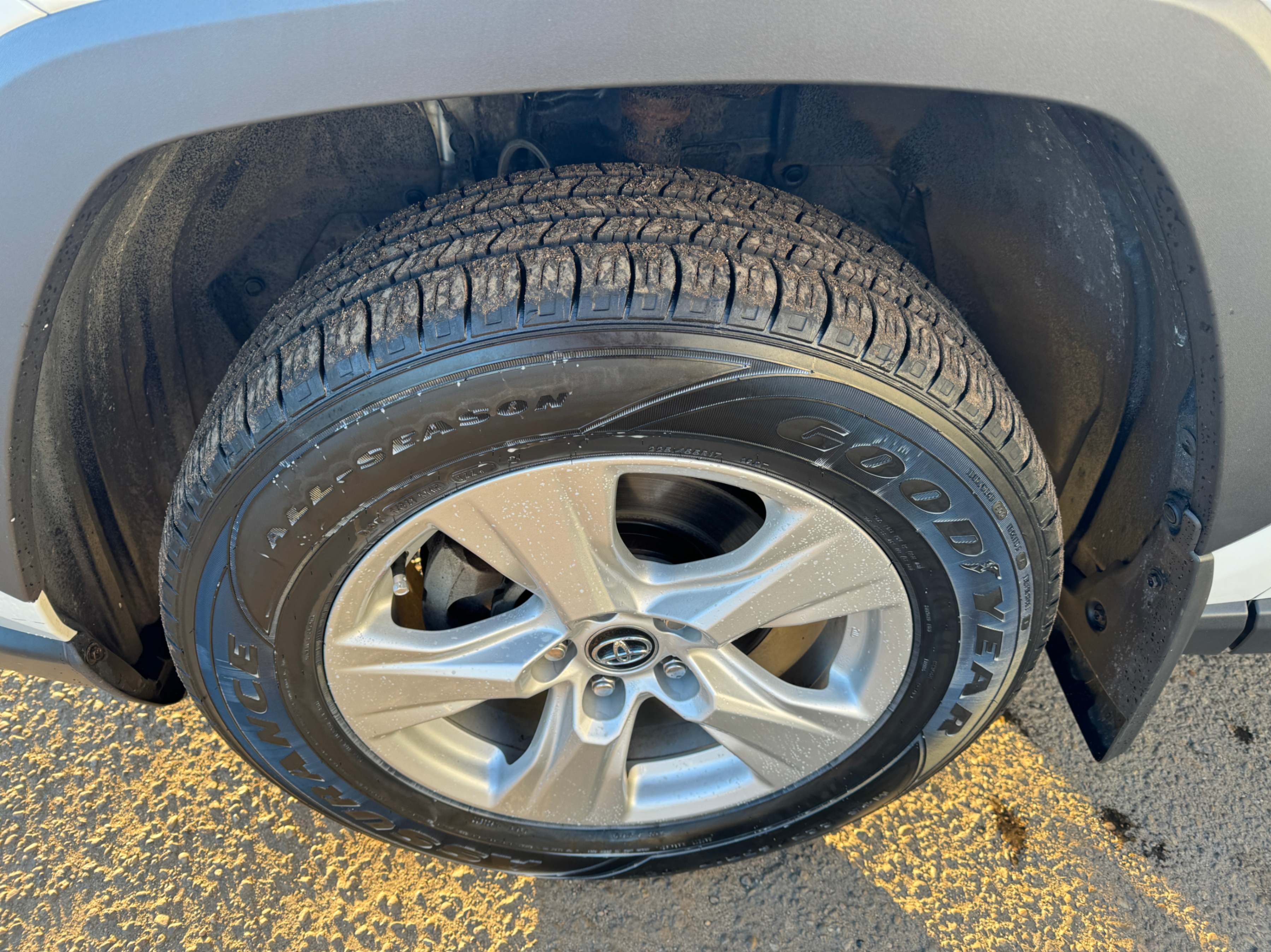 /aiautogroup/2019-Toyota-RAV4-08546550531006858.jpg