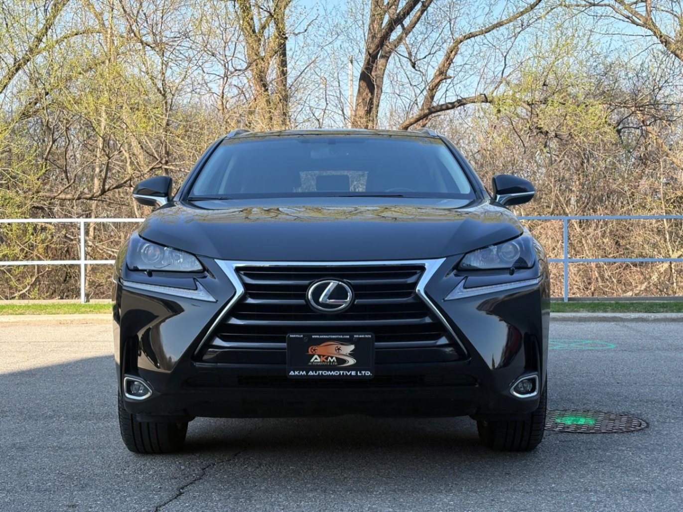 /akmautomotiveltd/2017-Lexus-NX200t-6547447794294701.jpg
