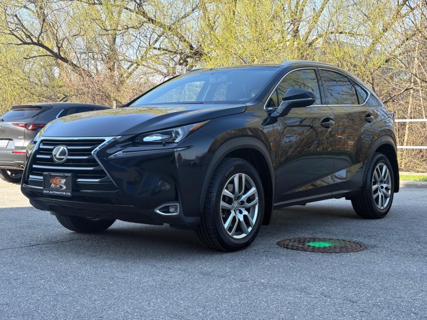 /akmautomotiveltd/2017-Lexus-NX200t-6973761462746744.jpg