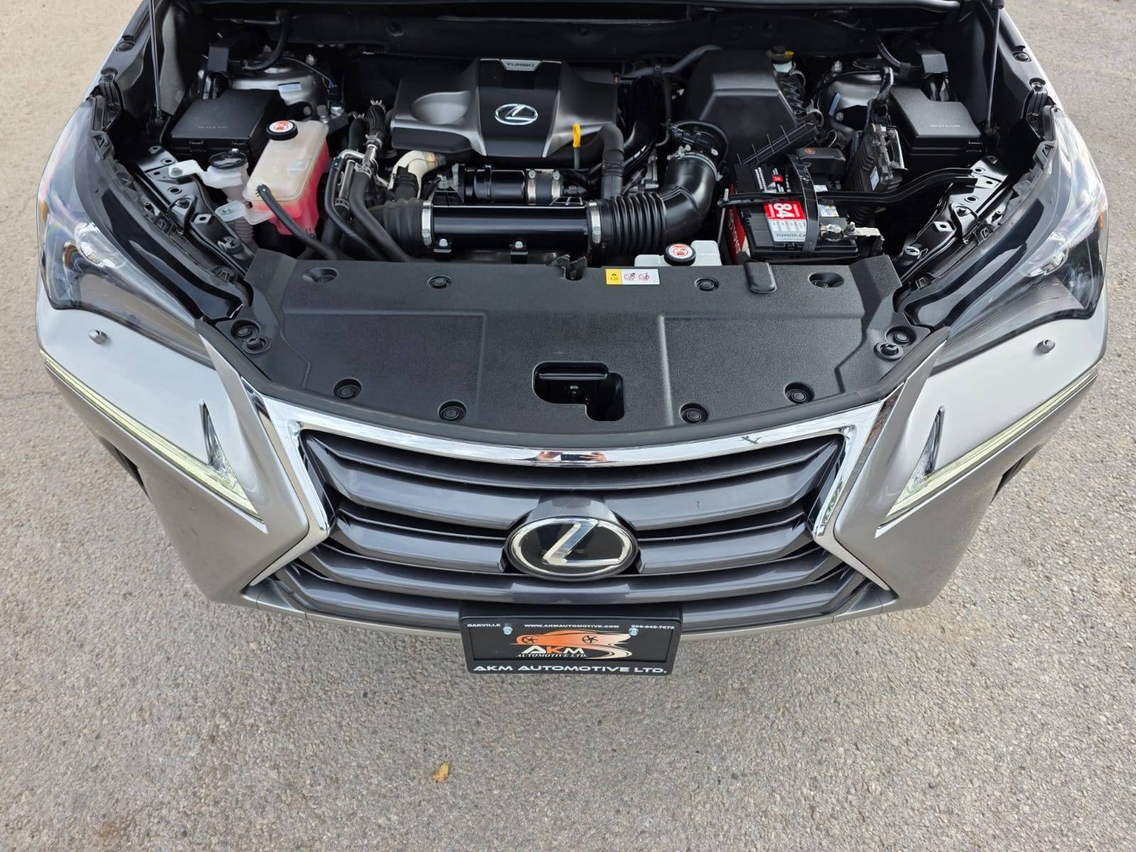 /akmautomotiveltd/2017-Lexus-NX200t-8793070409056225.jpg