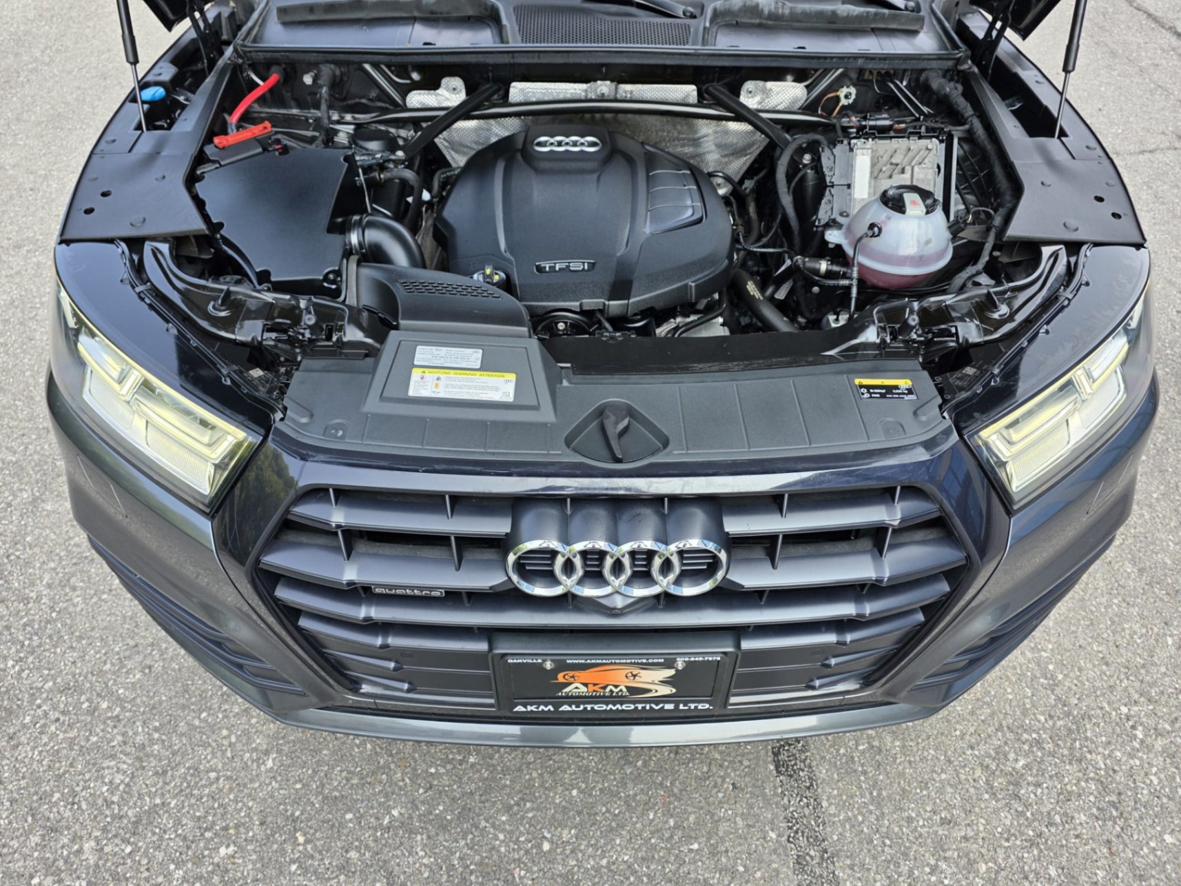 /akmautomotiveltd/2019-Audi-Q5-6667069750820496.jpg
