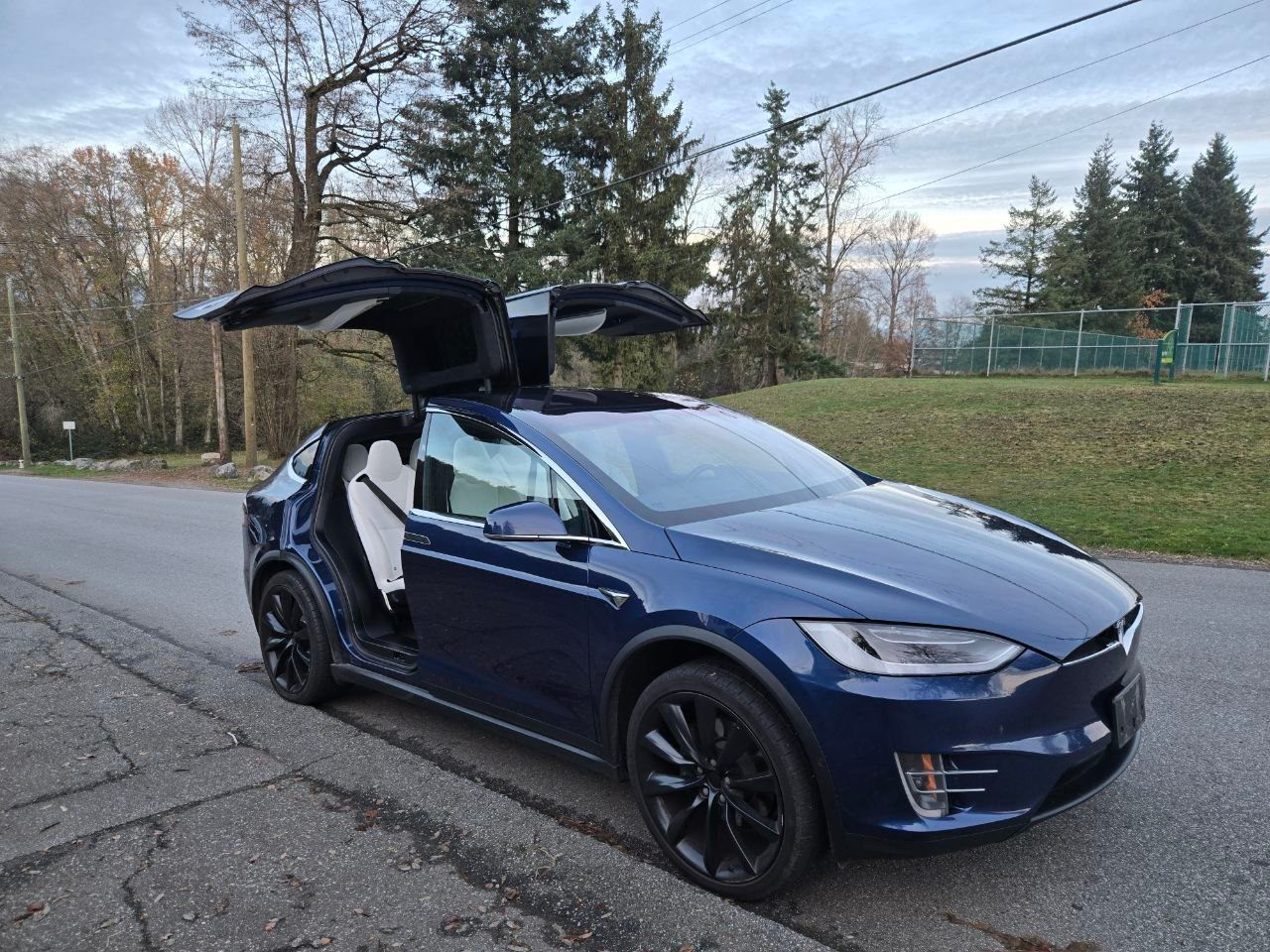 /alphaautoaccessltd/2017-Tesla-ModelX-18396078725784526.jpg