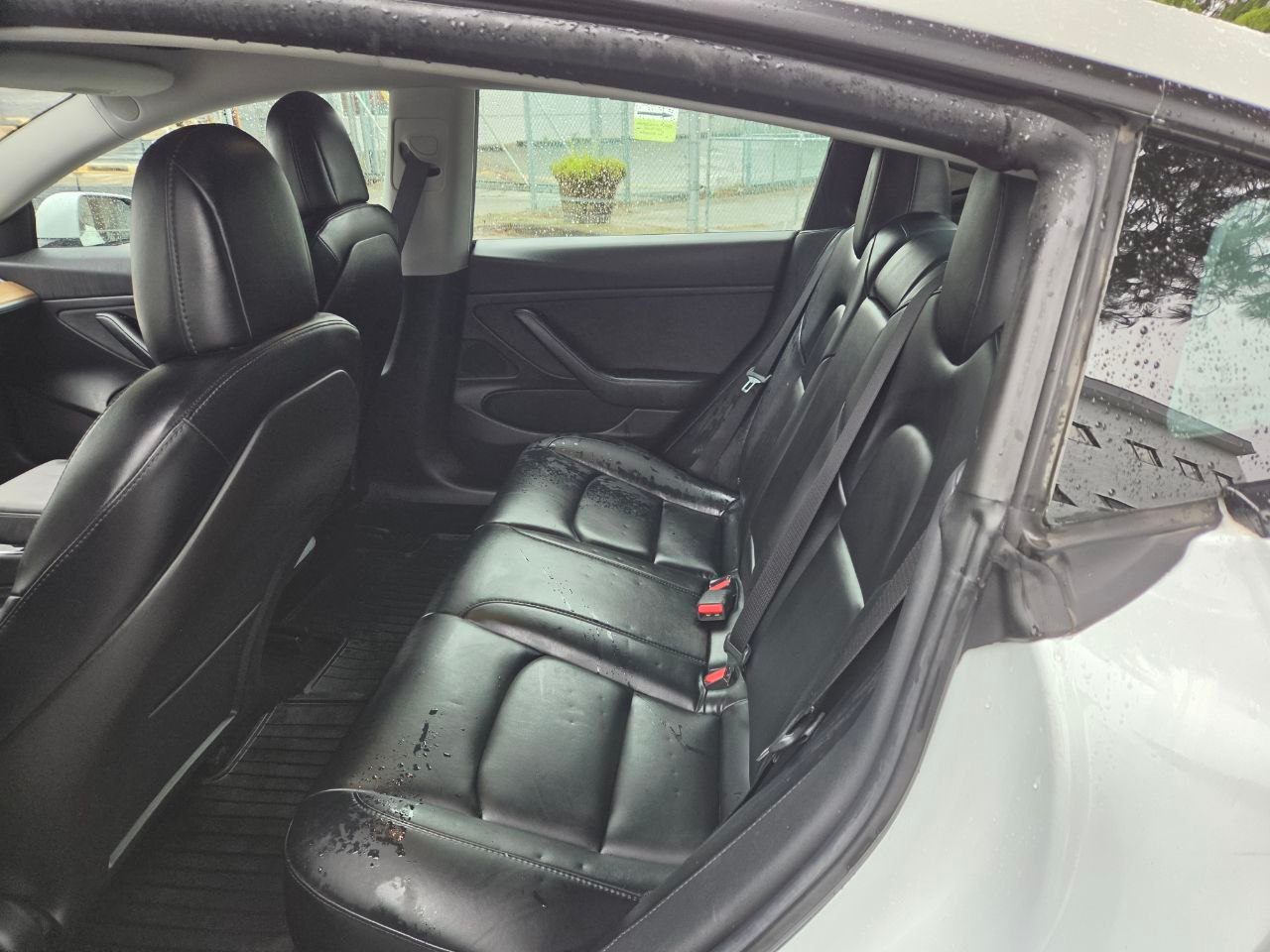 /alphaautoaccessltd/2019-Tesla-Model3-871212818488452.jpg