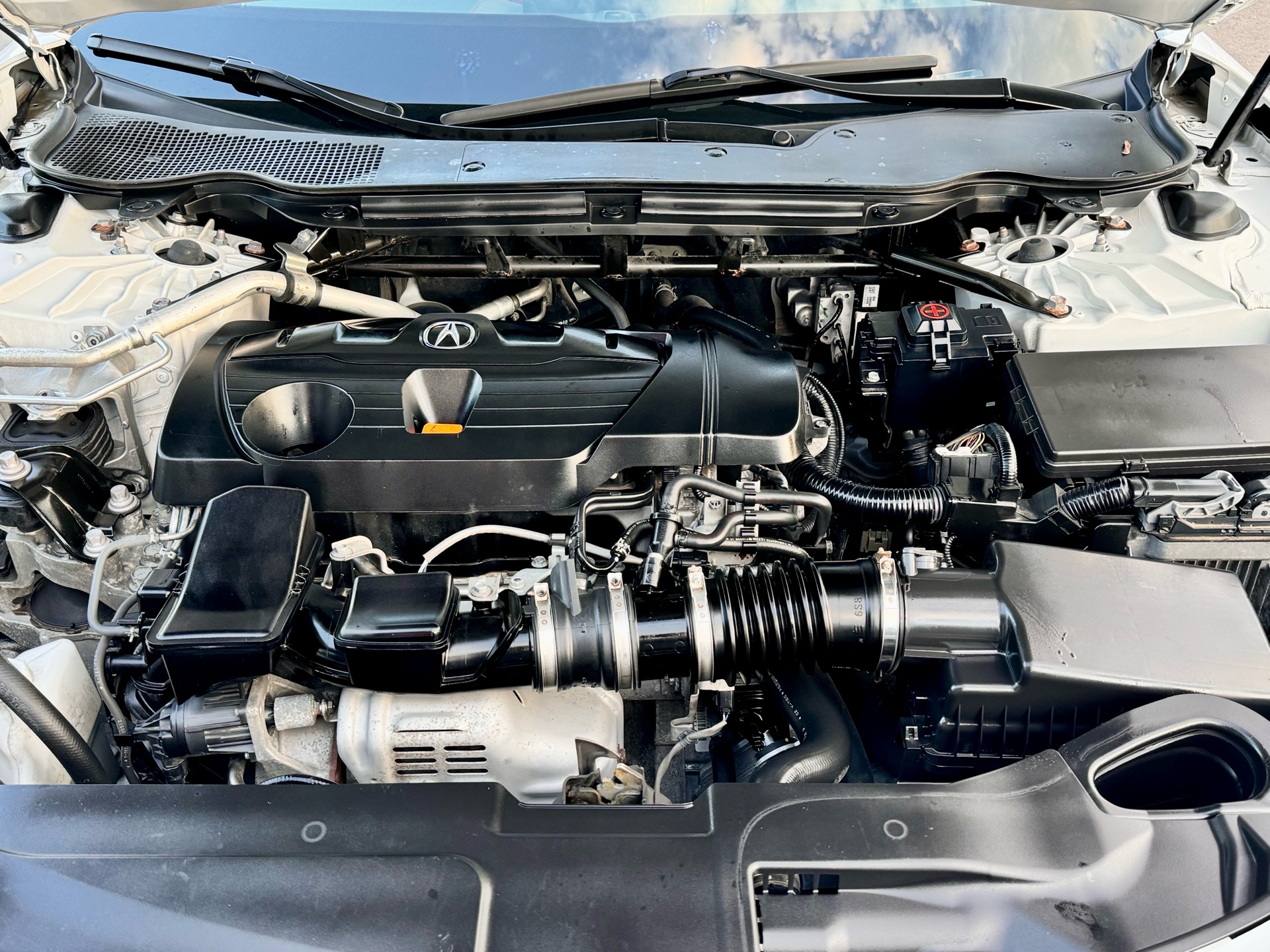 /alphaautosales/2021-Acura-TLX-810093391926576.jpg