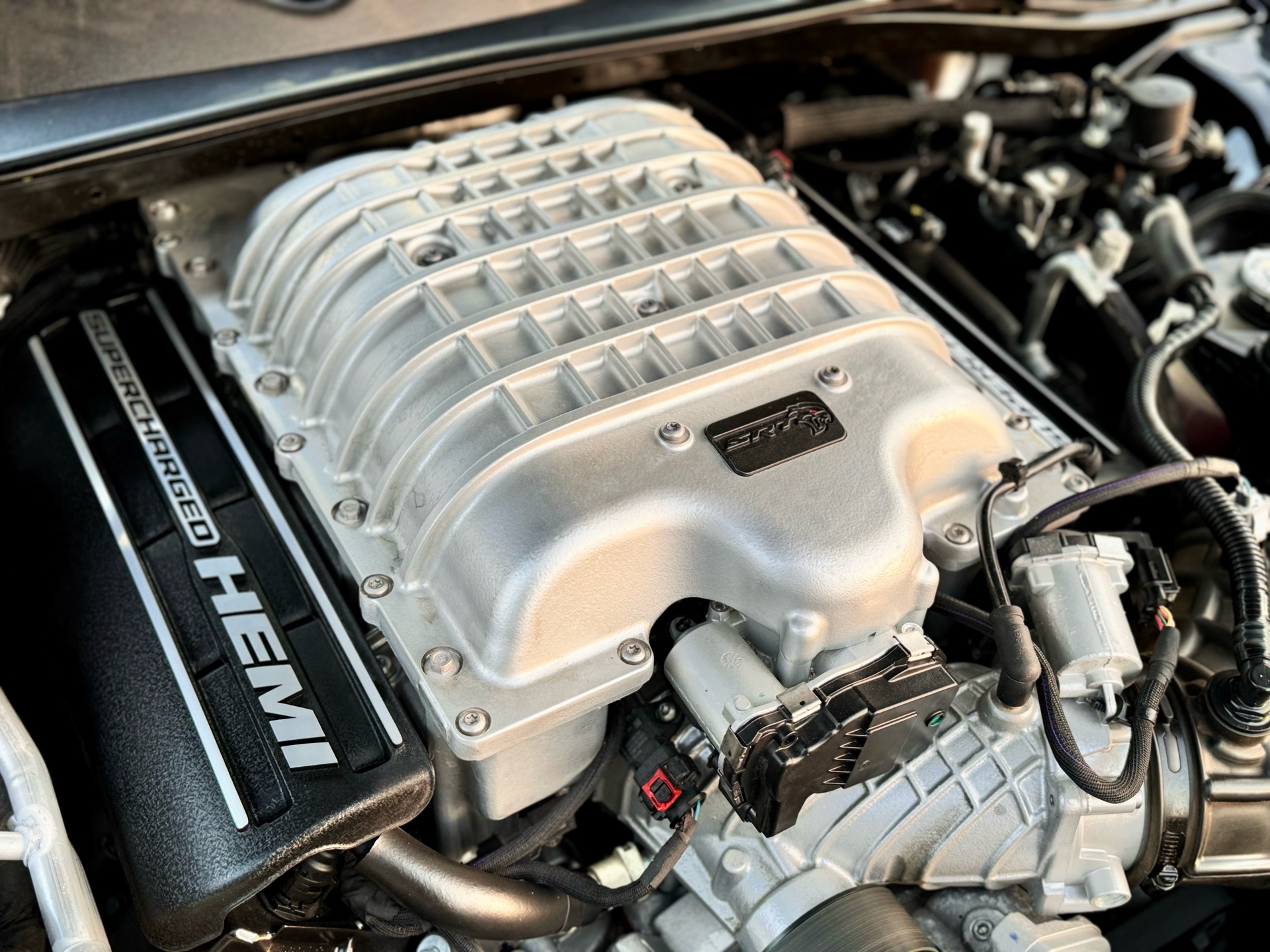 /alphaautosales/2021-Dodge-Challenger-8394281395888359.jpg