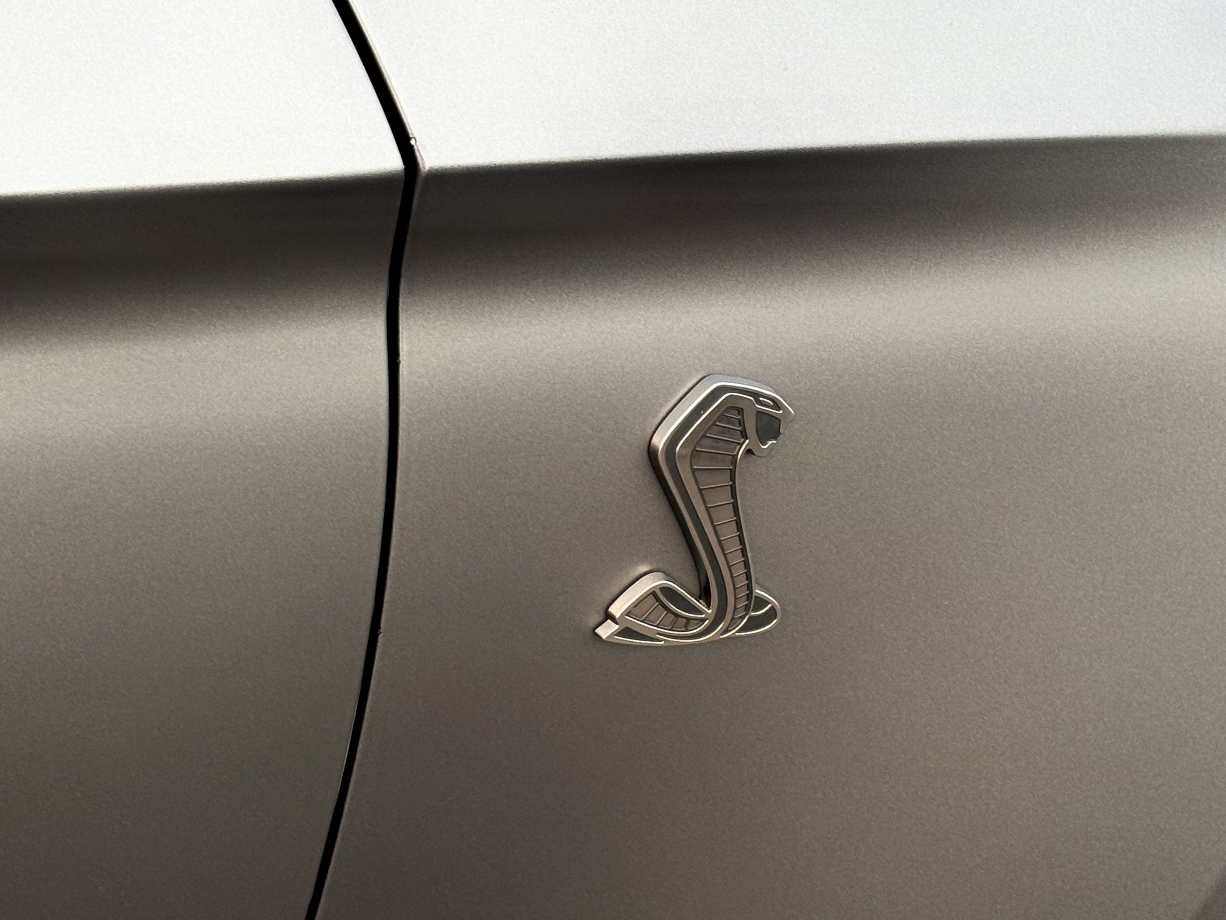 /alphaautosales/2021-Ford-Mustang-9918630780284161.jpg