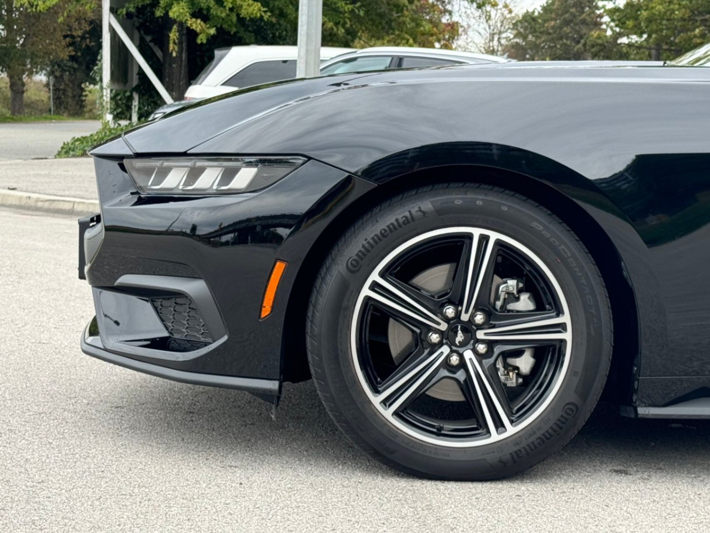 /anycarmotor/2024-Ford-Mustang-8001900947160143.jpg