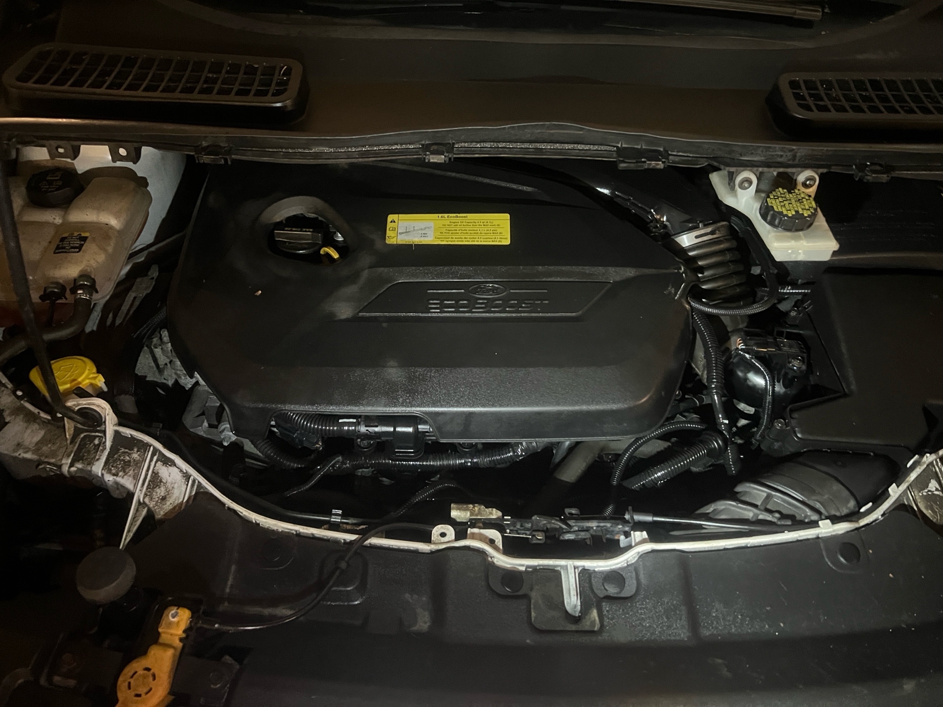 /autocainc/2013-Ford-Escape-3152612010838347.jpg