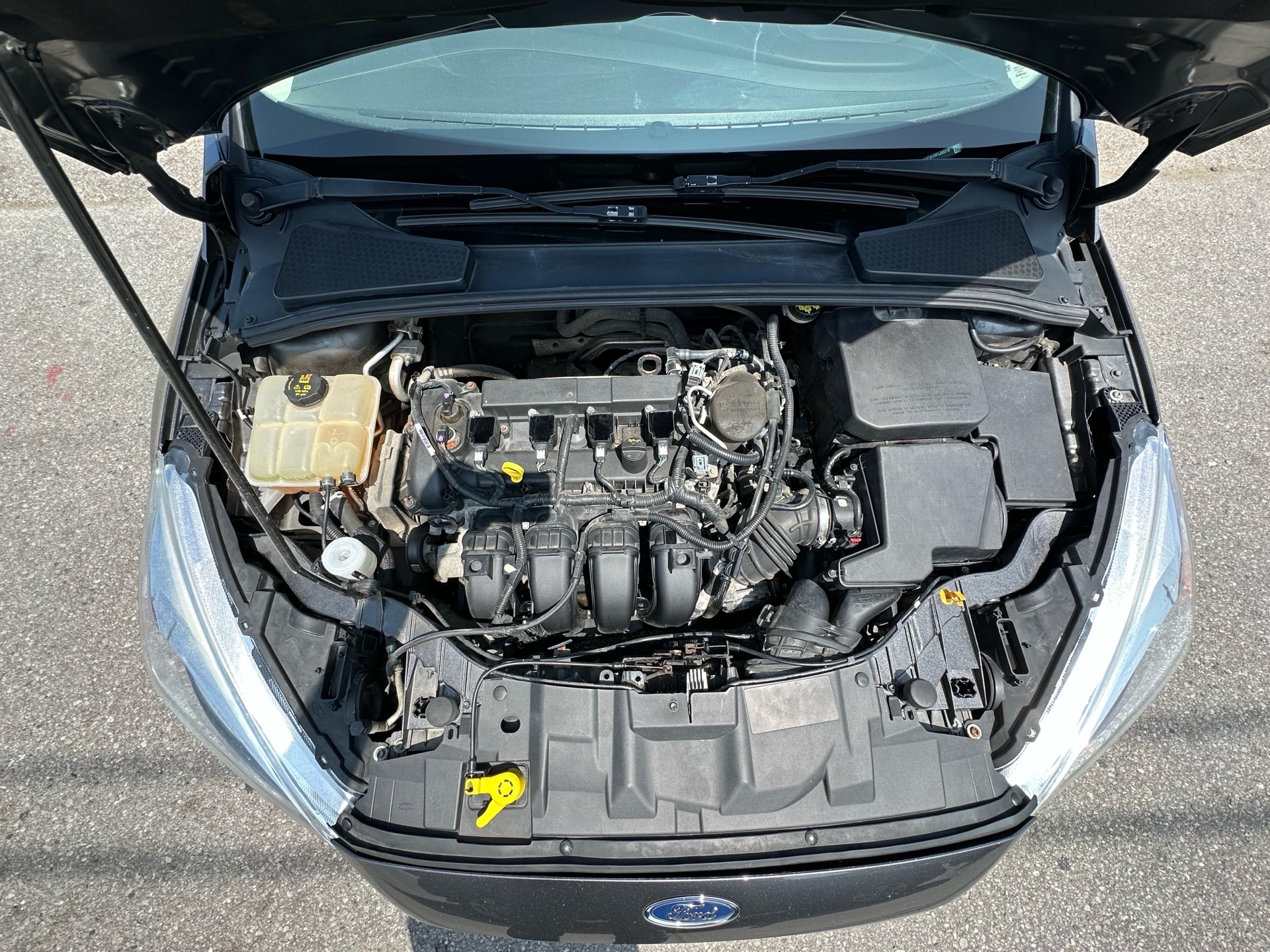 /autocainc/2015-Ford-Focus-8971930429311763.jpg