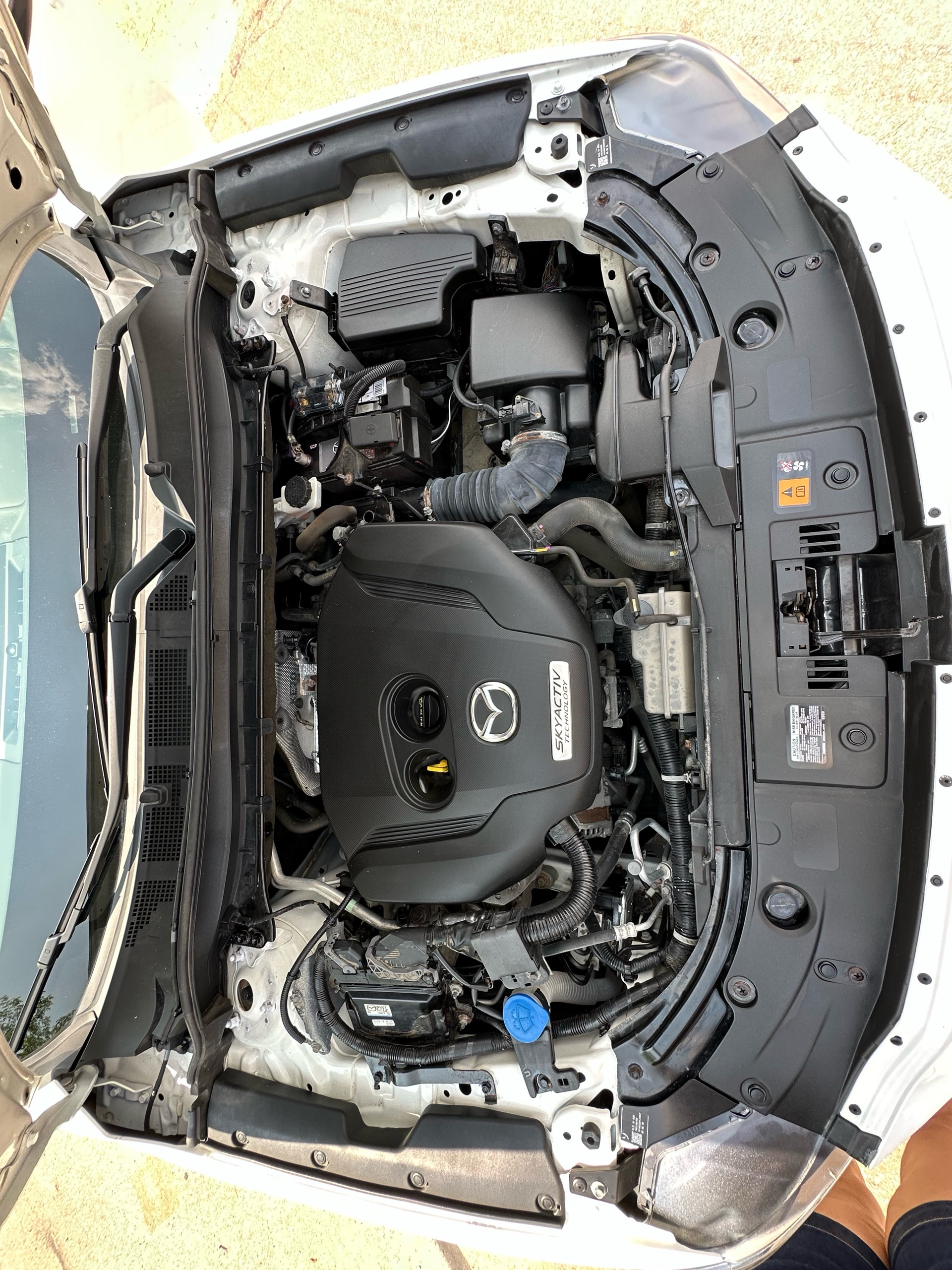 /autocainc/2019-Mazda-CX-5-4115402597372333.jpg