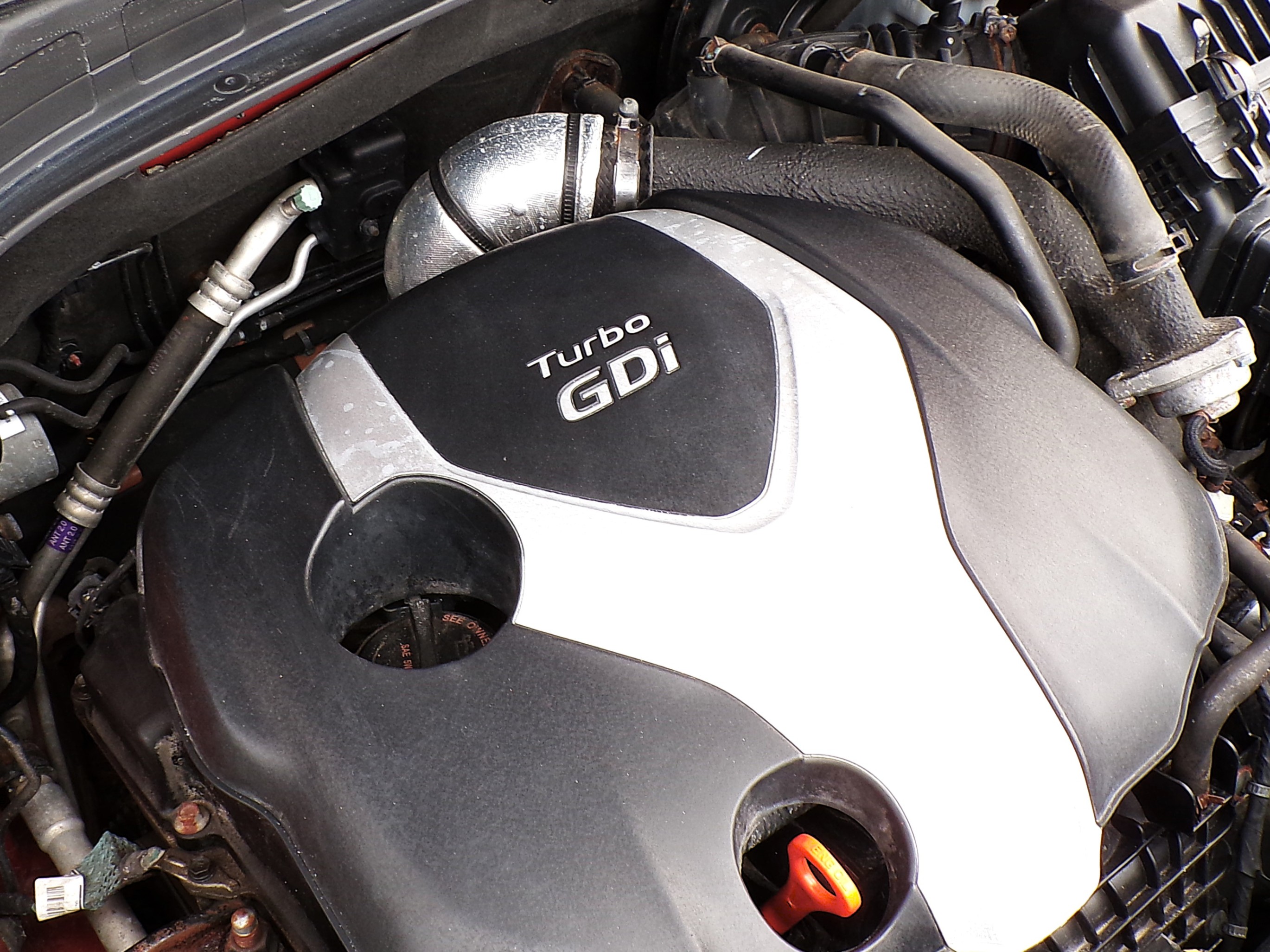 /autogallery/2013-Hyundai-SantaFe-2869362944932048.jpg