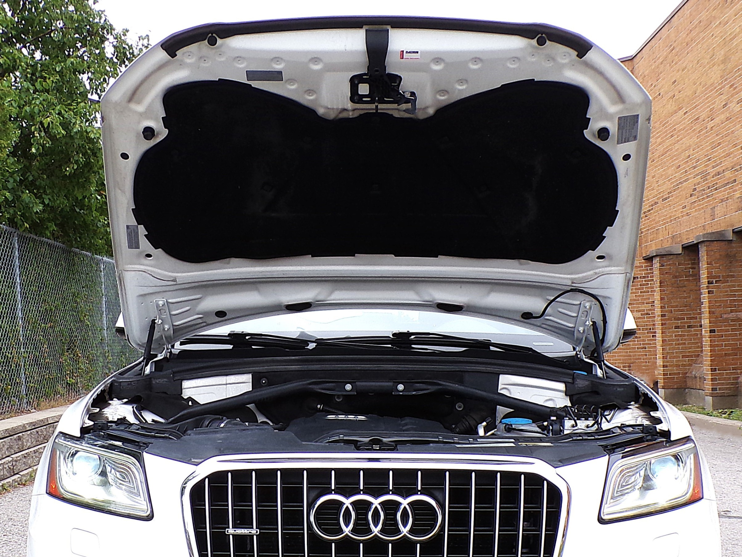 /autogallery/2017-Audi-Q5-6371821892388267.jpg