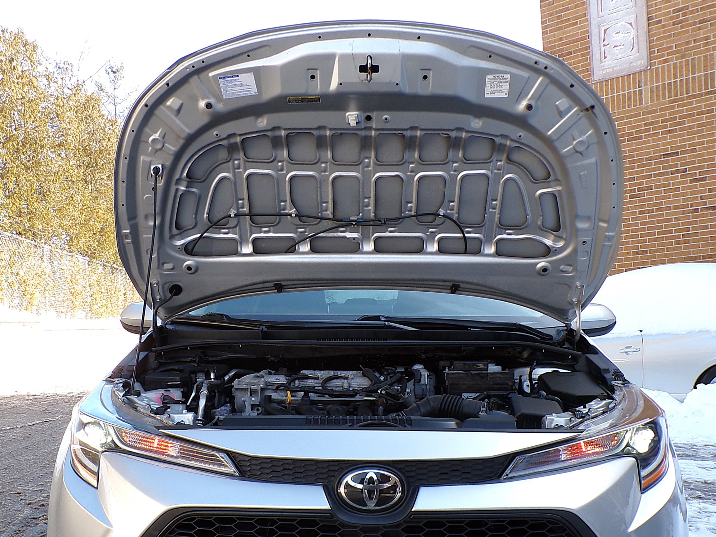 /autogallery/2020-Toyota-Corolla-510590808072821.jpg