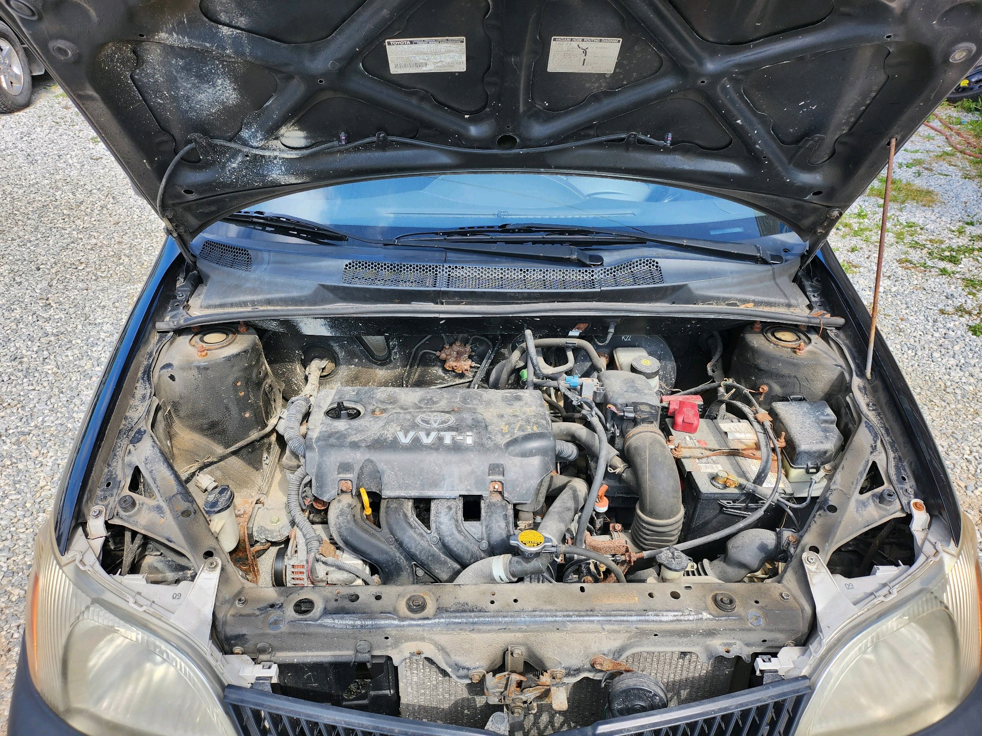 /autonationcarsales/2001-Toyota-Echo-5630702711270239.jpg