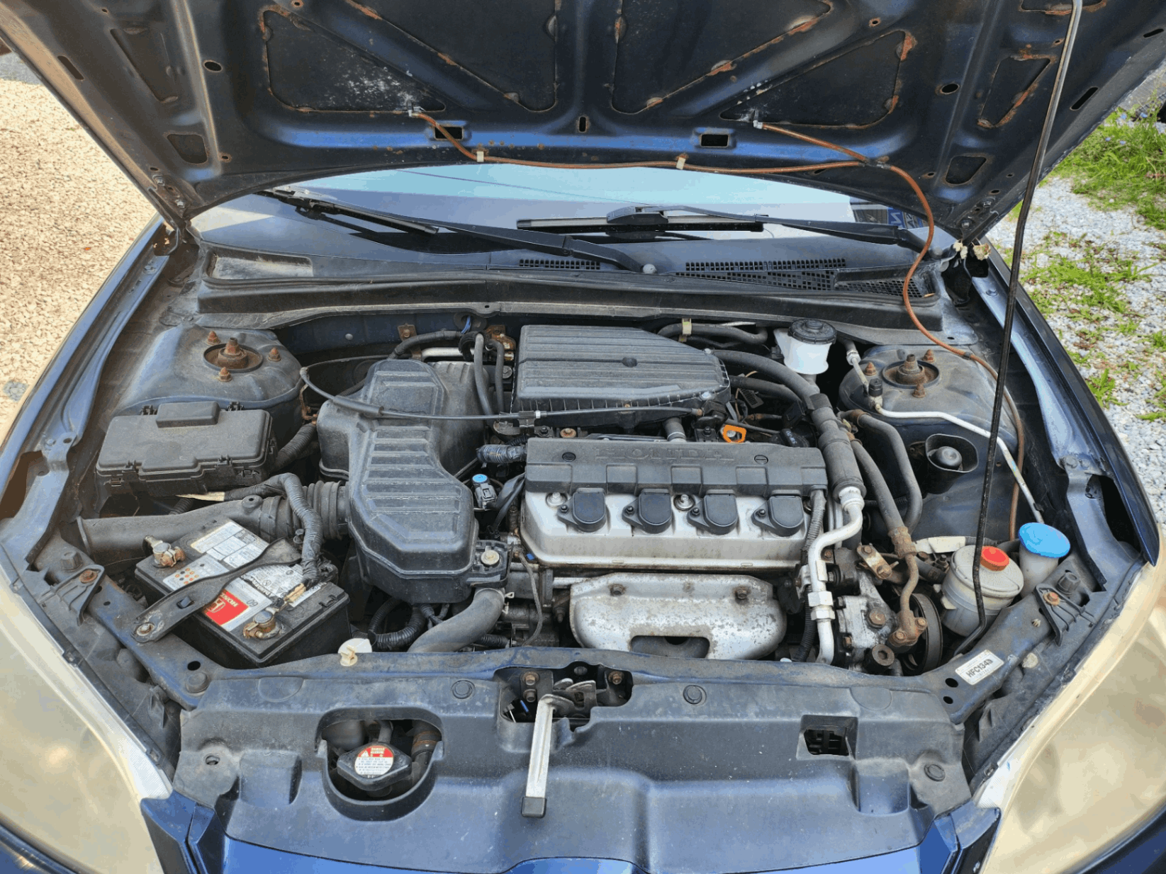 /autonationcarsales/2005-Honda-Civic-08355369930133838.jpg