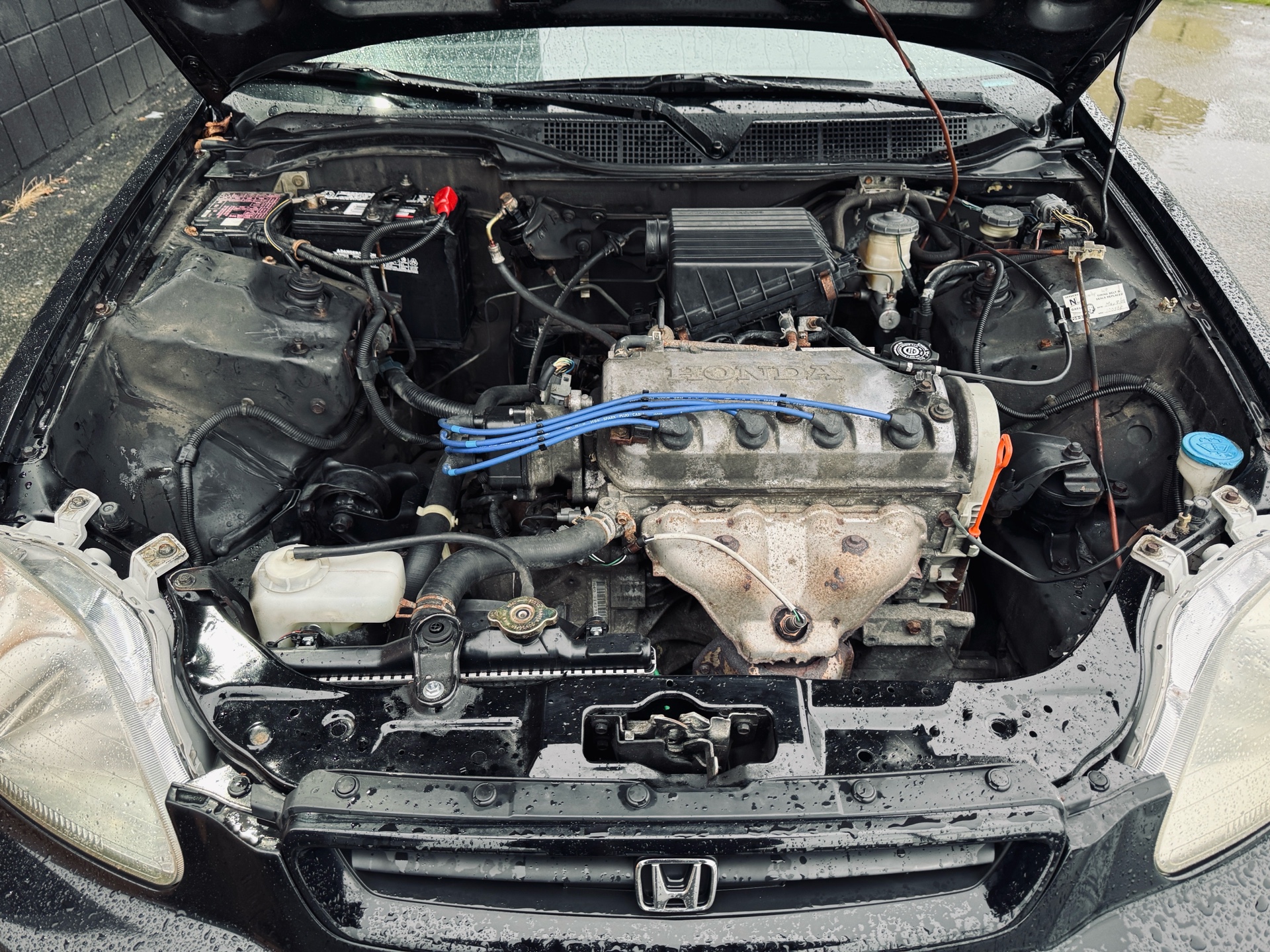 /azureautogallery1/1997-Honda-Civic-5376588231658561.jpg