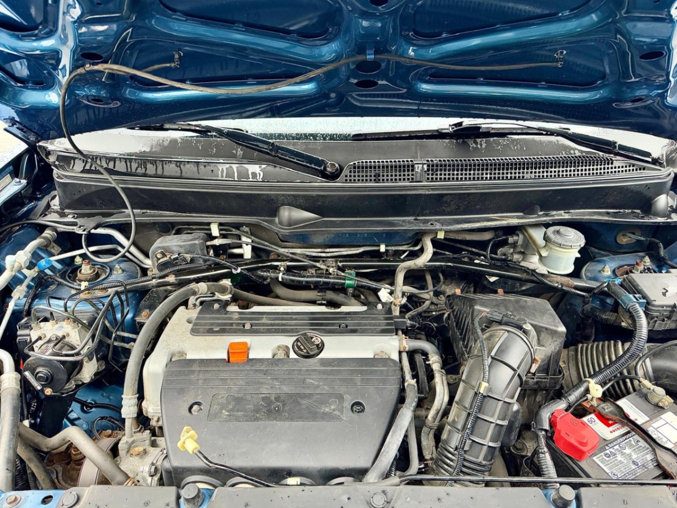 /azureautogallery1/2008-Honda-Element-38289299915608765.jpg