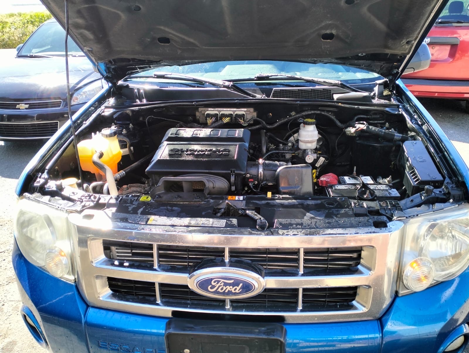 /azureautogallery1/2011-Ford-Escape-4494001628265618.jpg