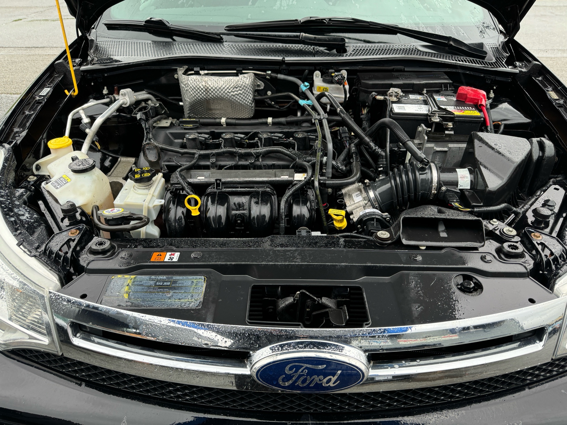 /azureautogallery1/2011-Ford-Focus-5963492317950554.jpg
