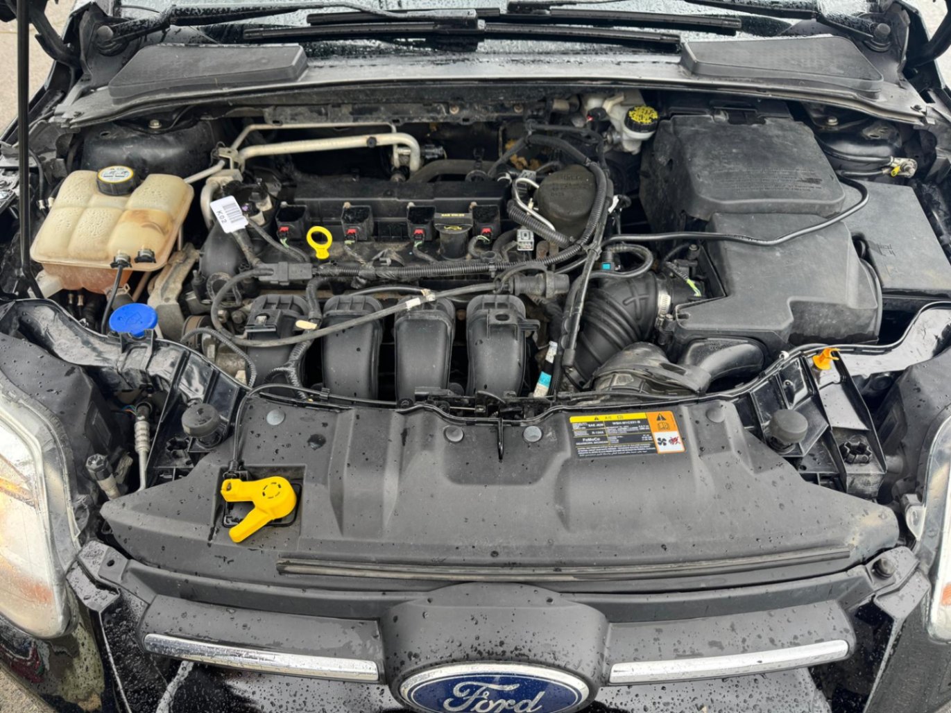 /azureautogallery1/2013-Ford-Focus-4553653967902218.jpg