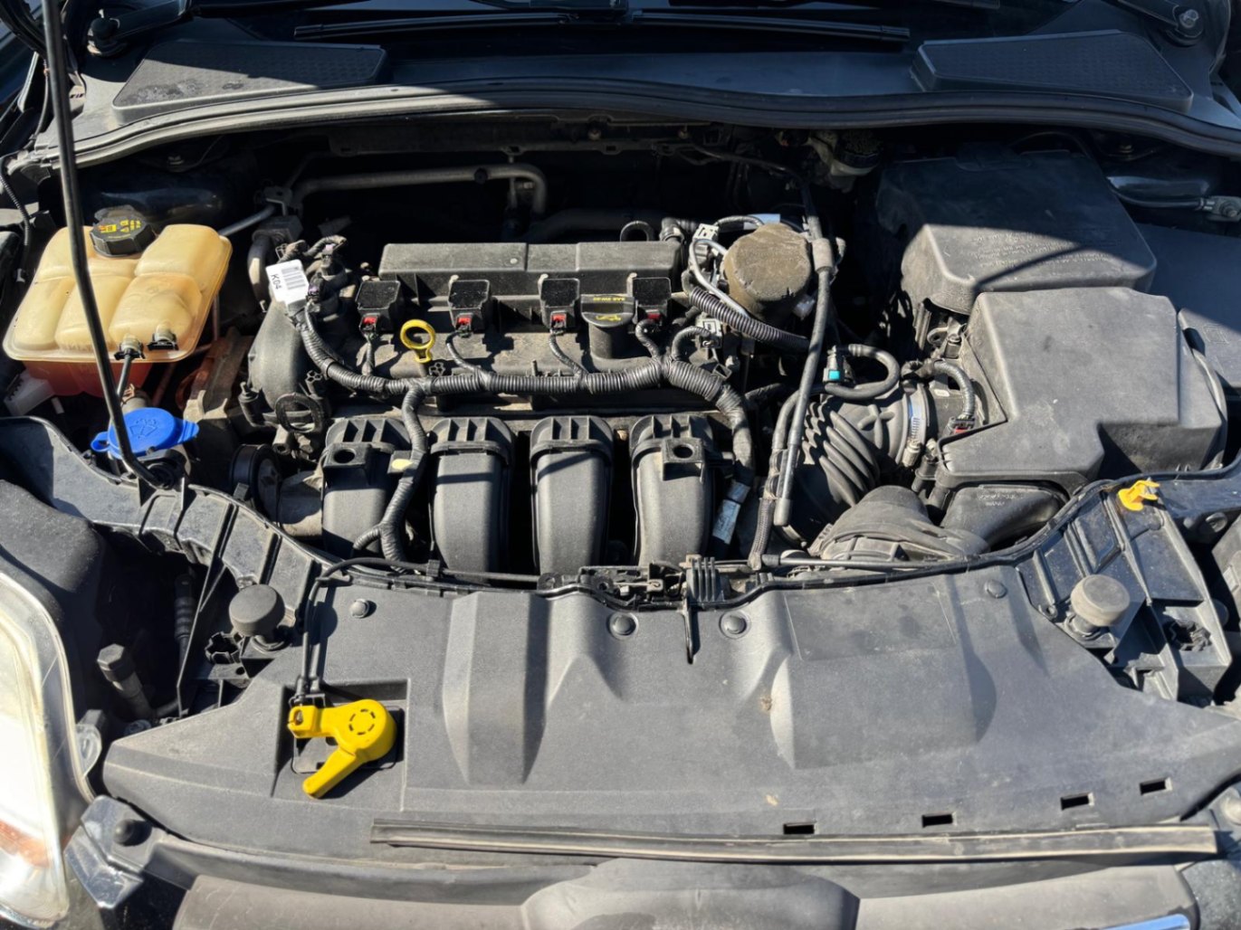 /azureautogallery1/2014-Ford-Focus-6292332604781972.jpg
