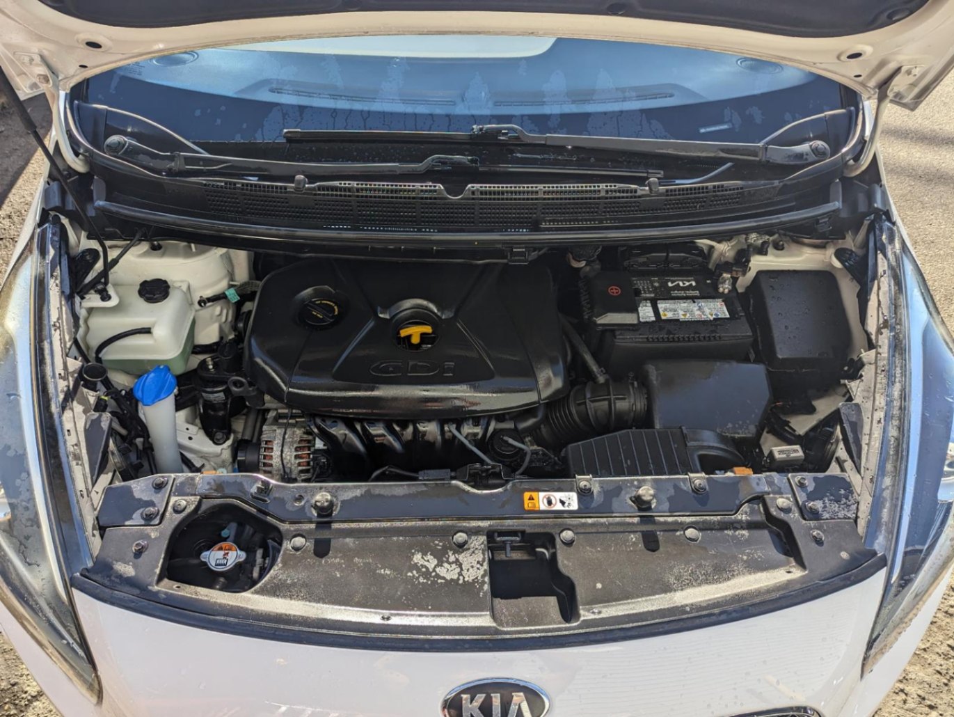 /azureautogallery1/2014-Kia-Rondo-96318318402759.jpg