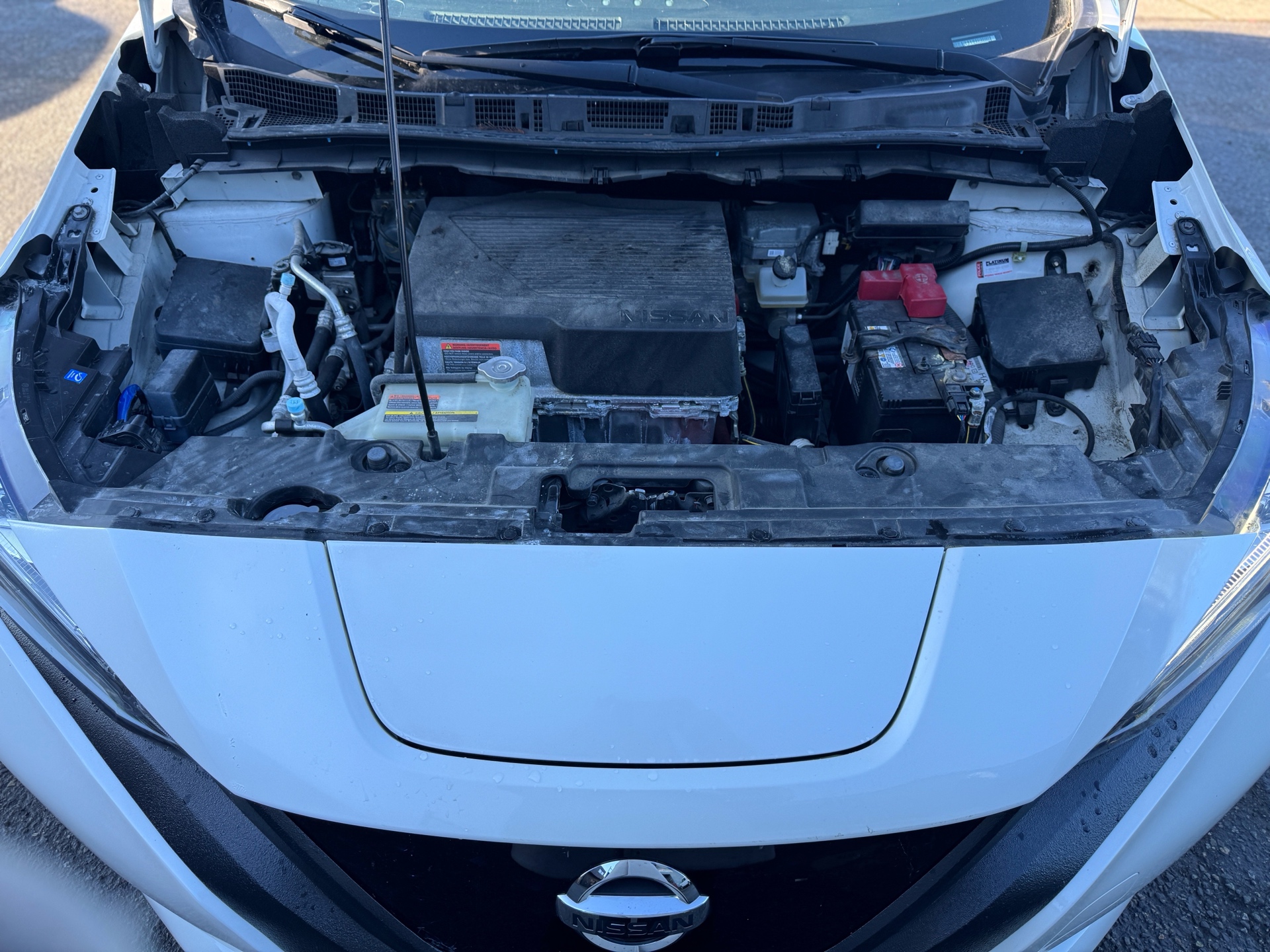 /azureautogallery1/2019-Nissan-Leaf-7700483708895929.jpg