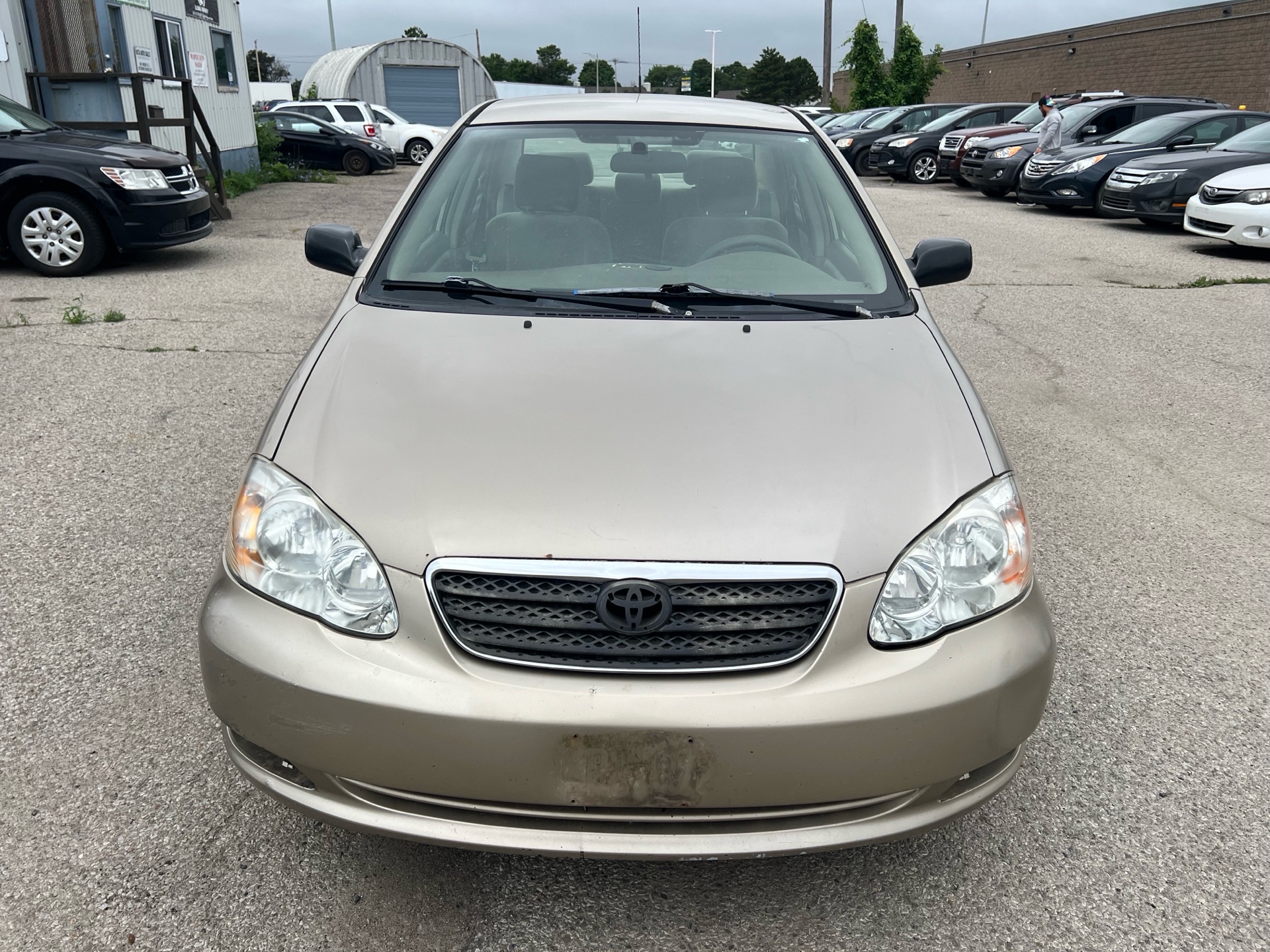 /betaautosales/2008-Toyota-Corolla-9362502392915131.jpg