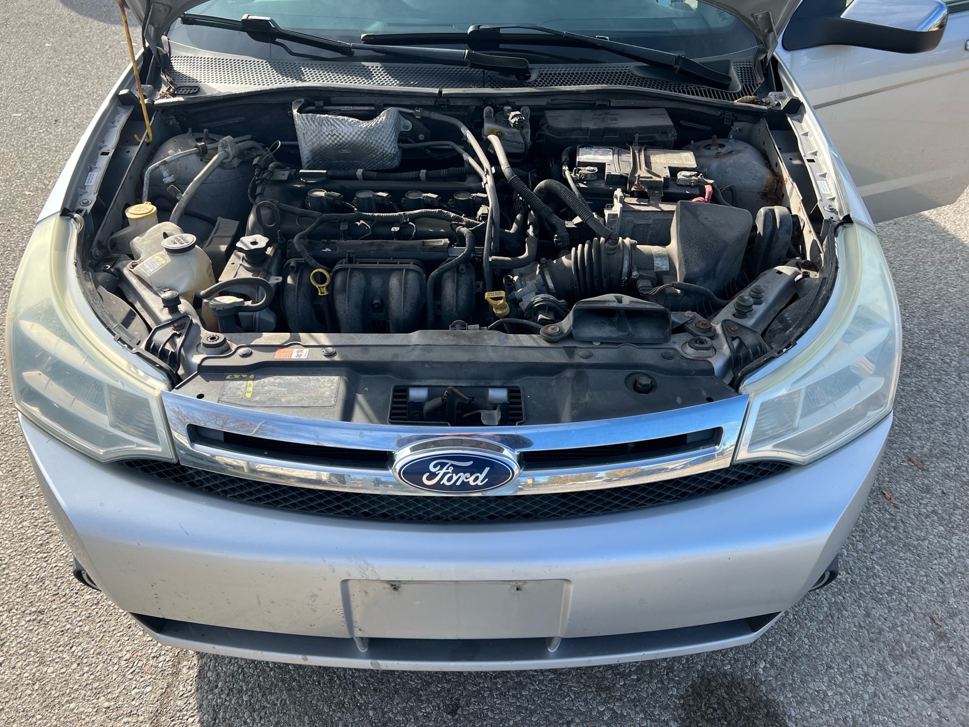 /betaautosales/2011-Ford-Focus-19616227767562489.jpg