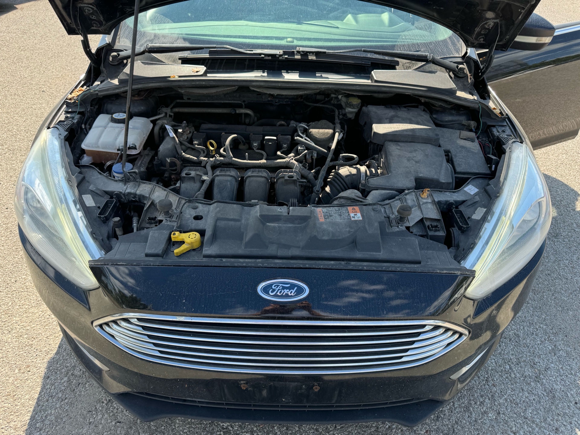 /betaautosales/2015-Ford-Focus-5757329795638484.jpg