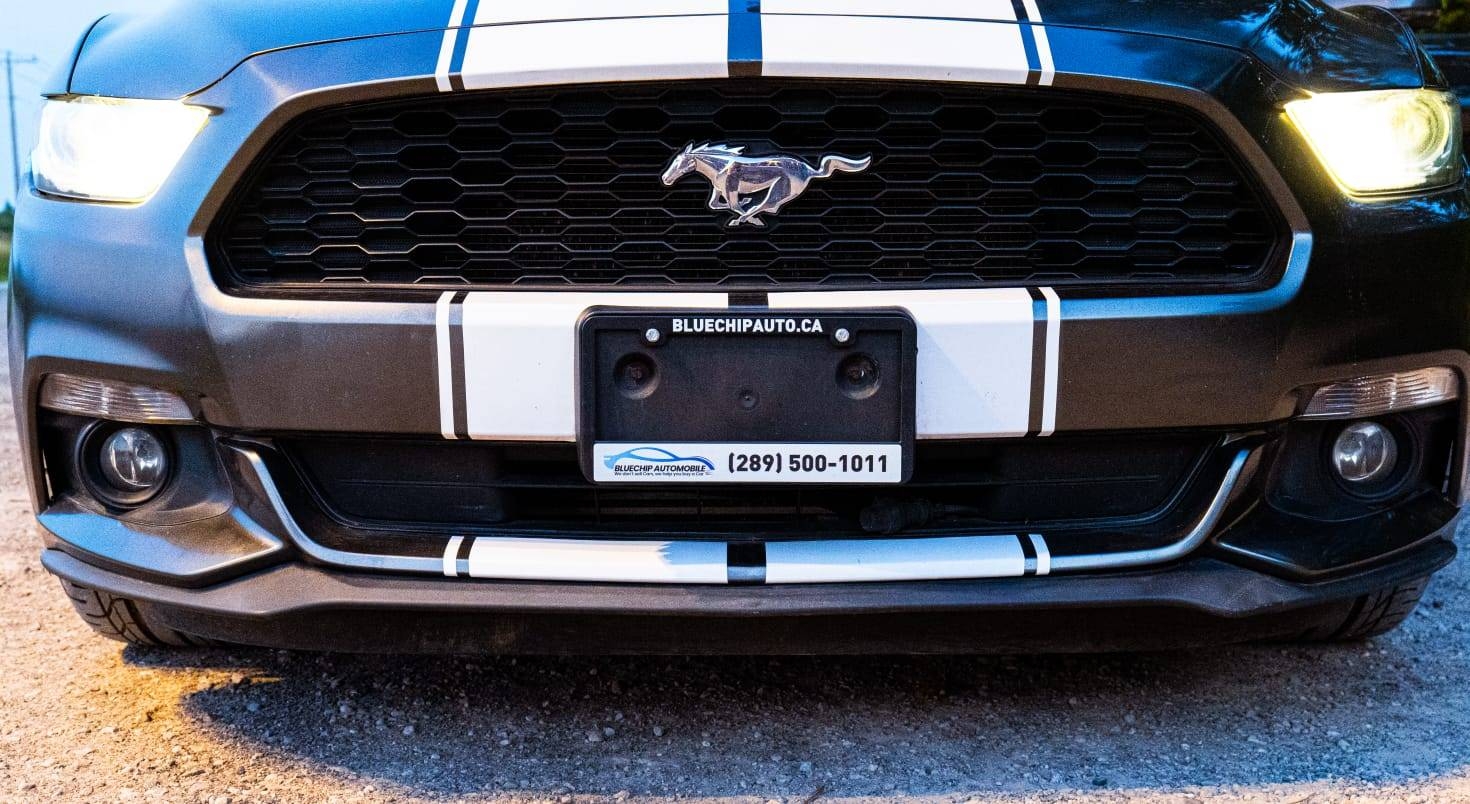 /bluechipautomobile/2015-Ford-Mustang-9384306925267663.jpg