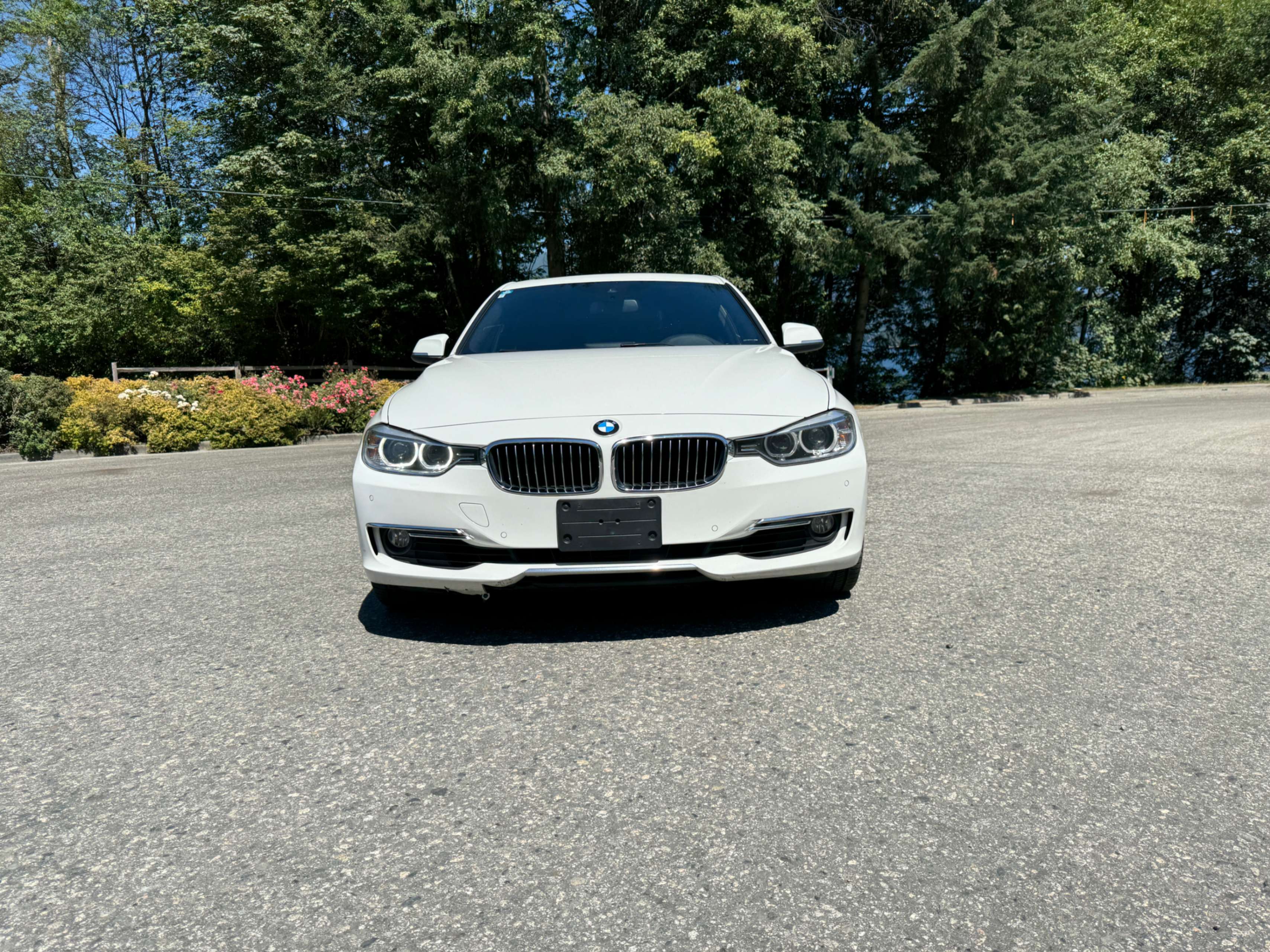 special-car