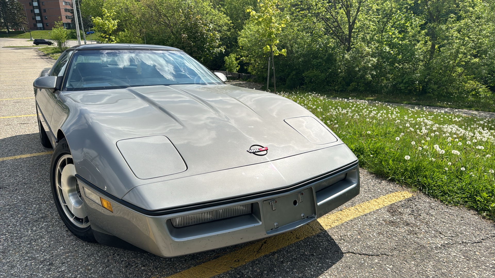 /canadacars/1987-Chevrolet-Corvette-04361067301591803.jpg