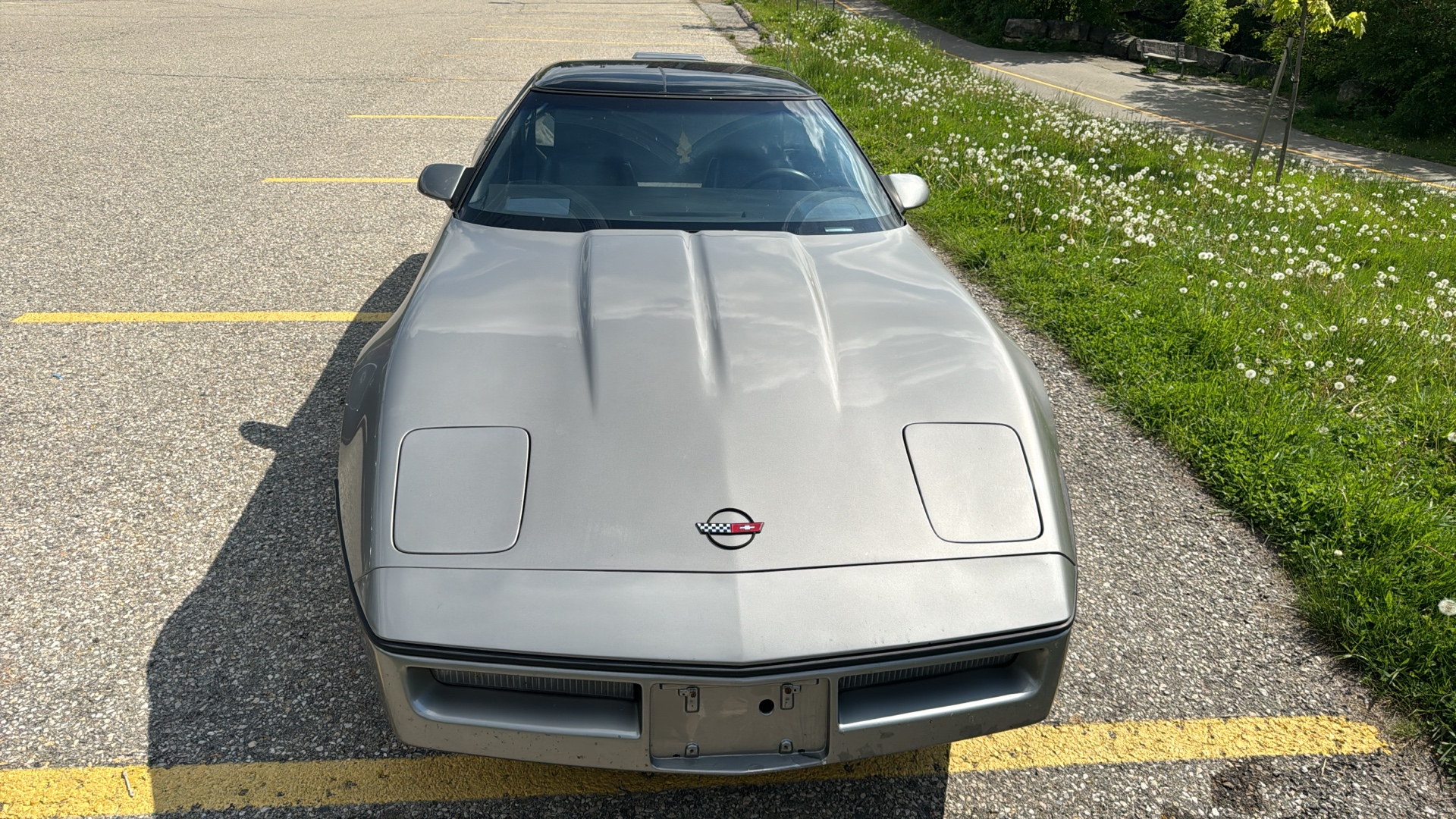 /canadacars/1987-Chevrolet-Corvette-5019165408978394.jpg
