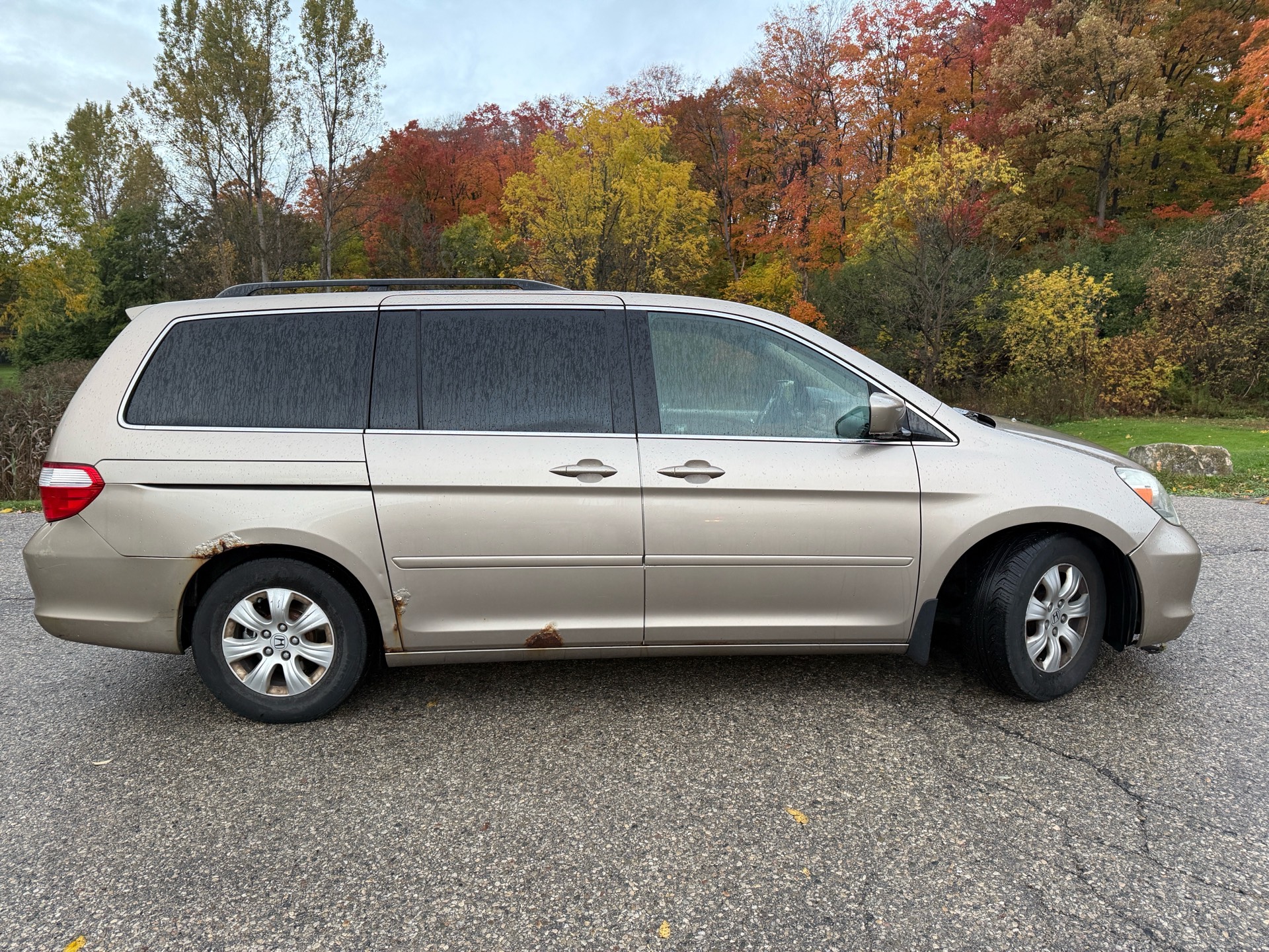 /canadacars/2006-Honda-Odyssey-2643624970011804.jpg