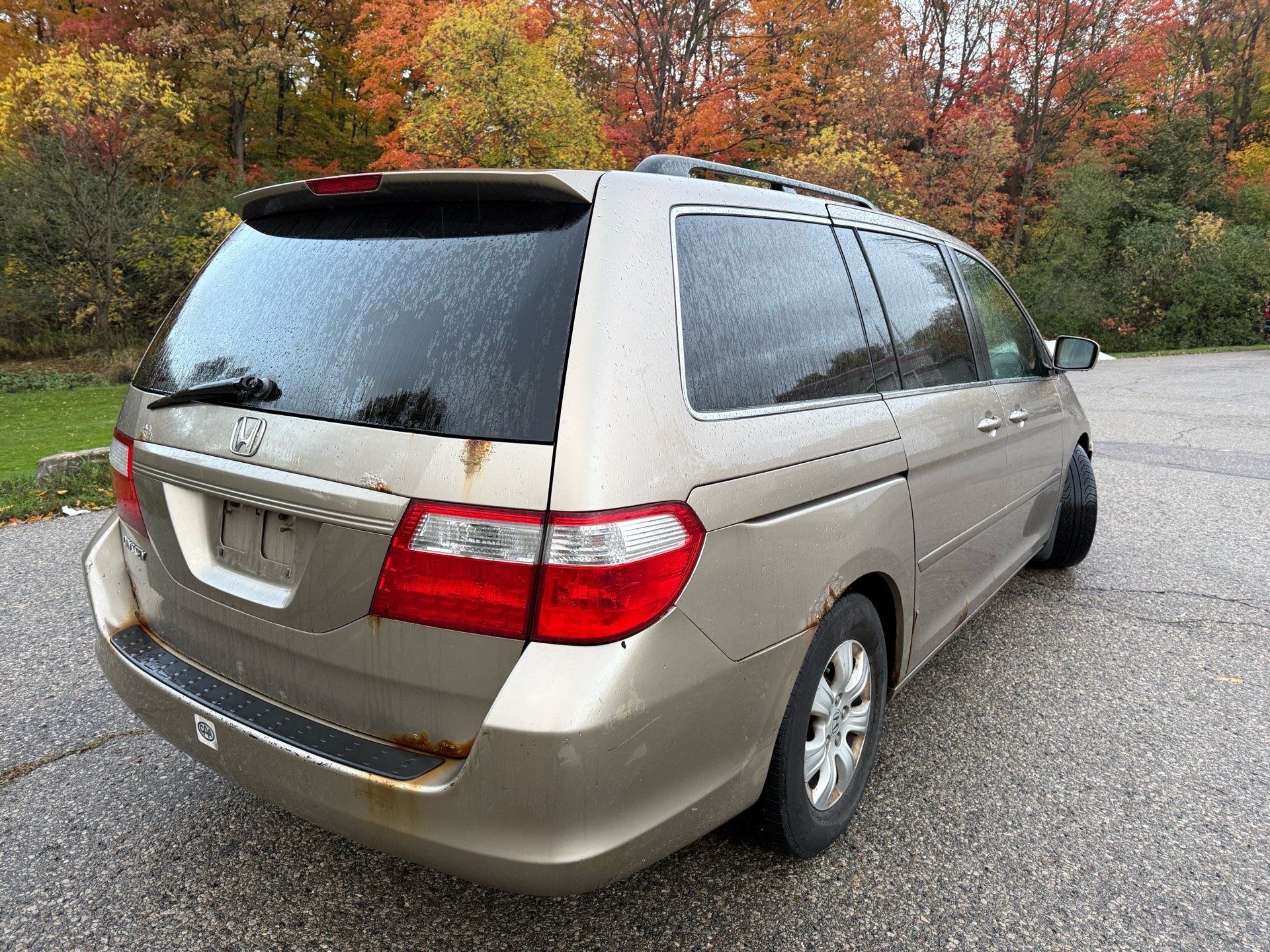 /canadacars/2006-Honda-Odyssey-8986616458524377.jpg