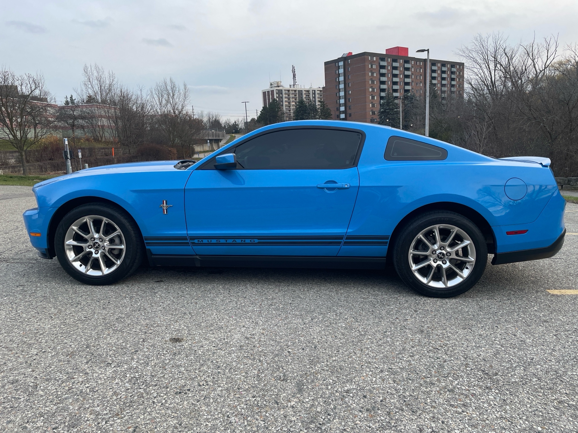 /canadacars/2010-Ford-Mustang-021981149414335155.jpg