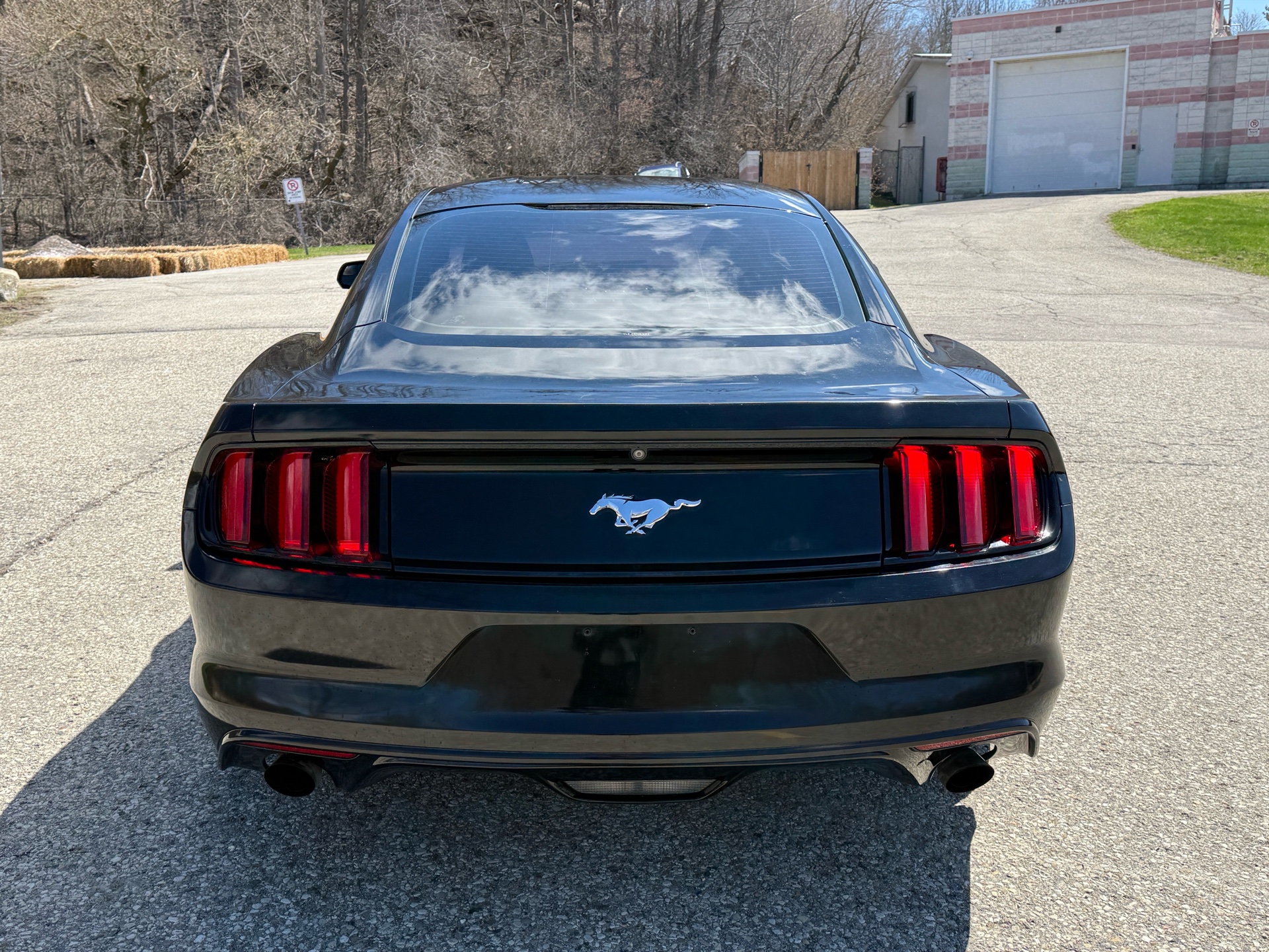 /canadacars/2015-Ford-Mustang-13090914222234473.jpg