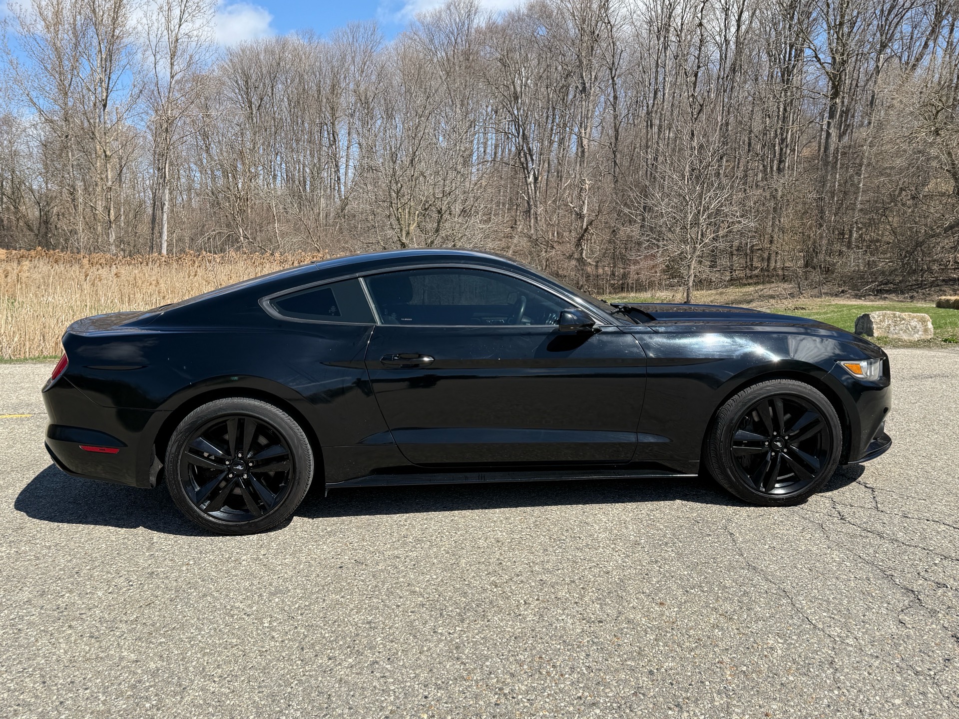 /canadacars/2015-Ford-Mustang-7189118642634478.jpg
