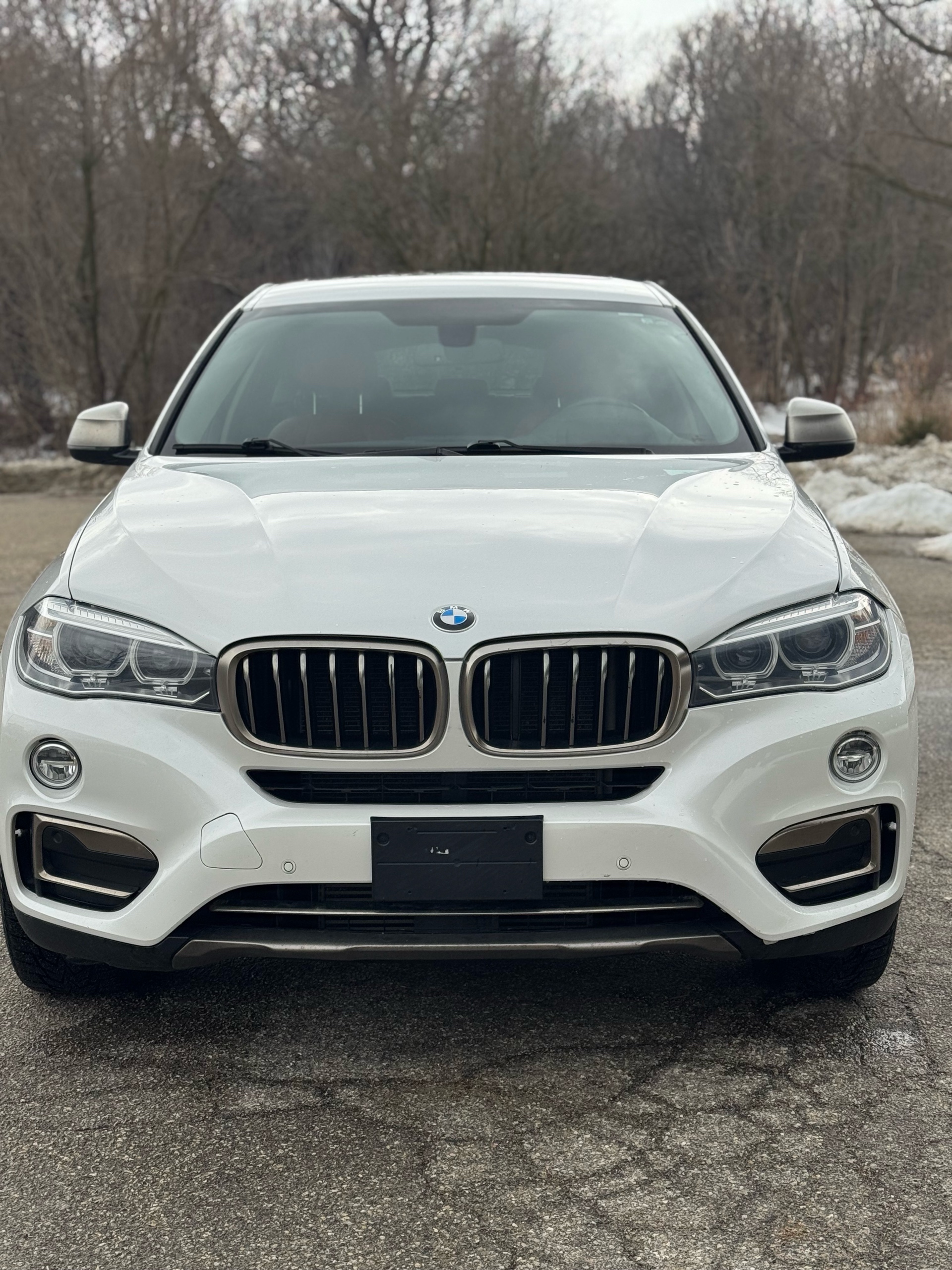 /canadacars/2018-BMW-X6-6757203826826395.jpg