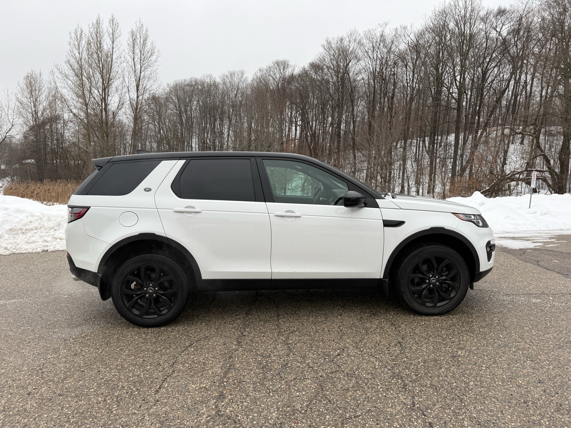 /canadacars/2018-LandRover-DiscoverySport-13578162386194959.jpg
