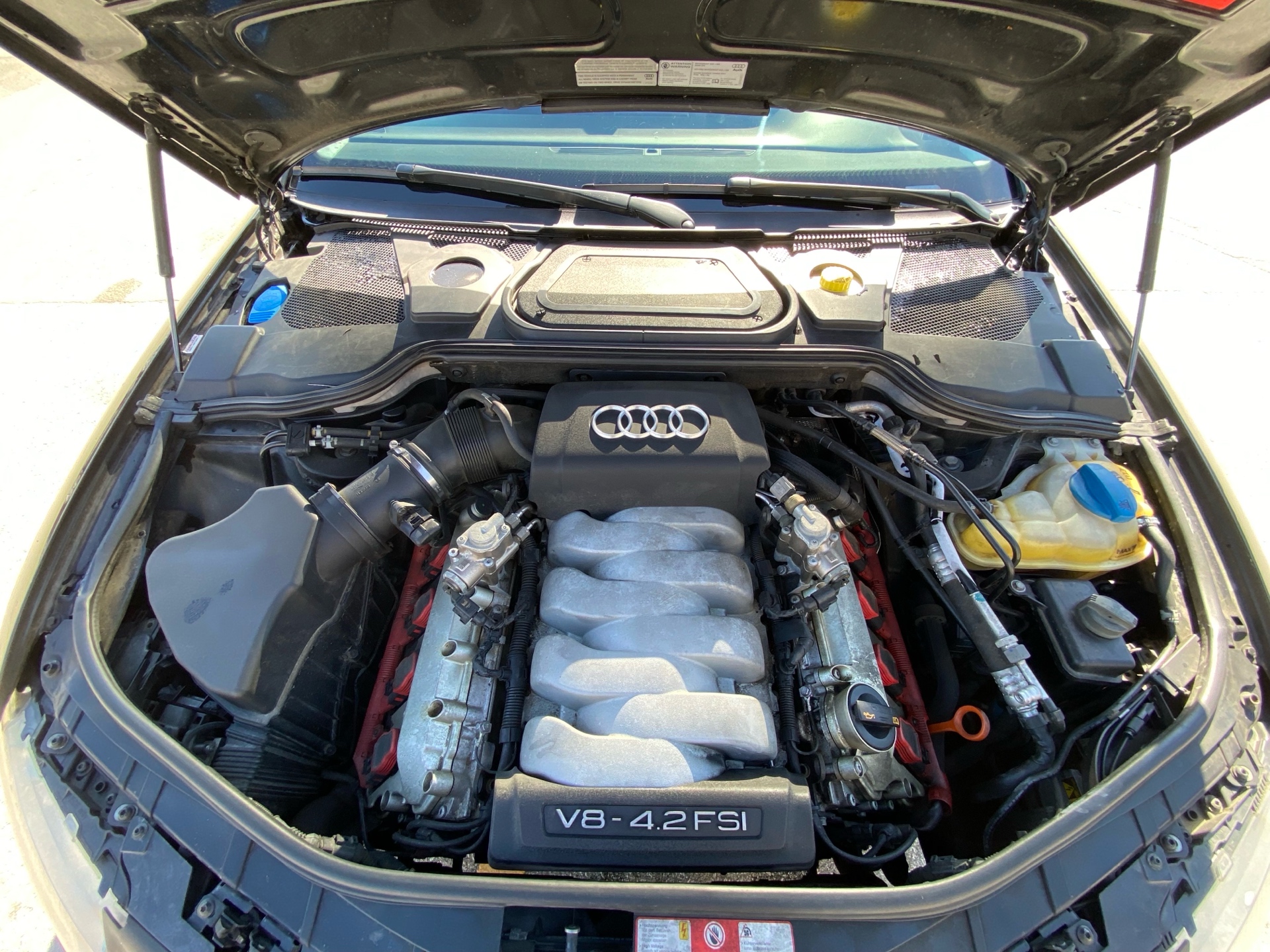 /canwestautoinc/2009-Audi-A8-908851060899859.jpg