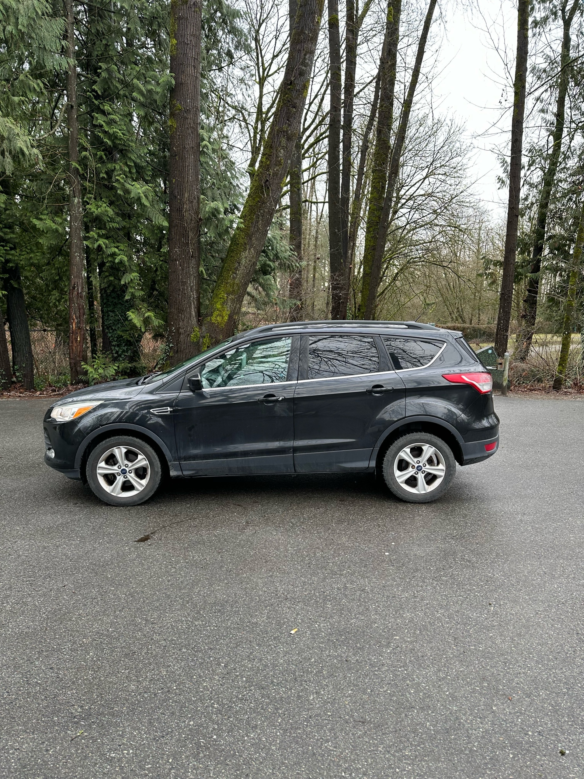 /canwestautoinc/2015-Ford-Escape-7758843587295312.jpg