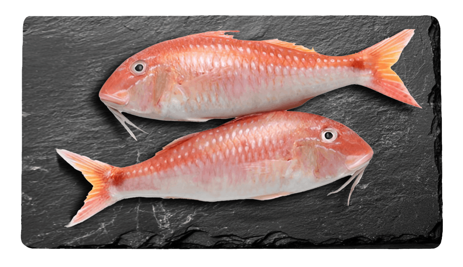 Goatfish