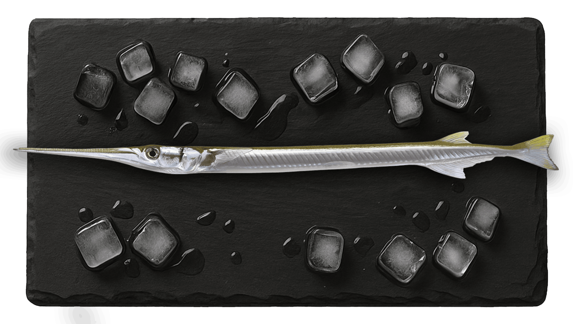 Needlefish