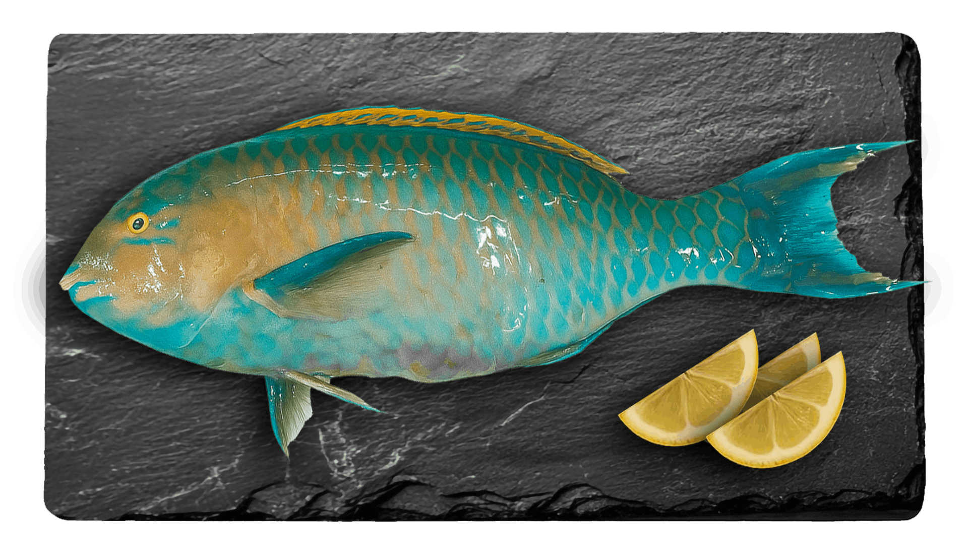 Parrot Fish