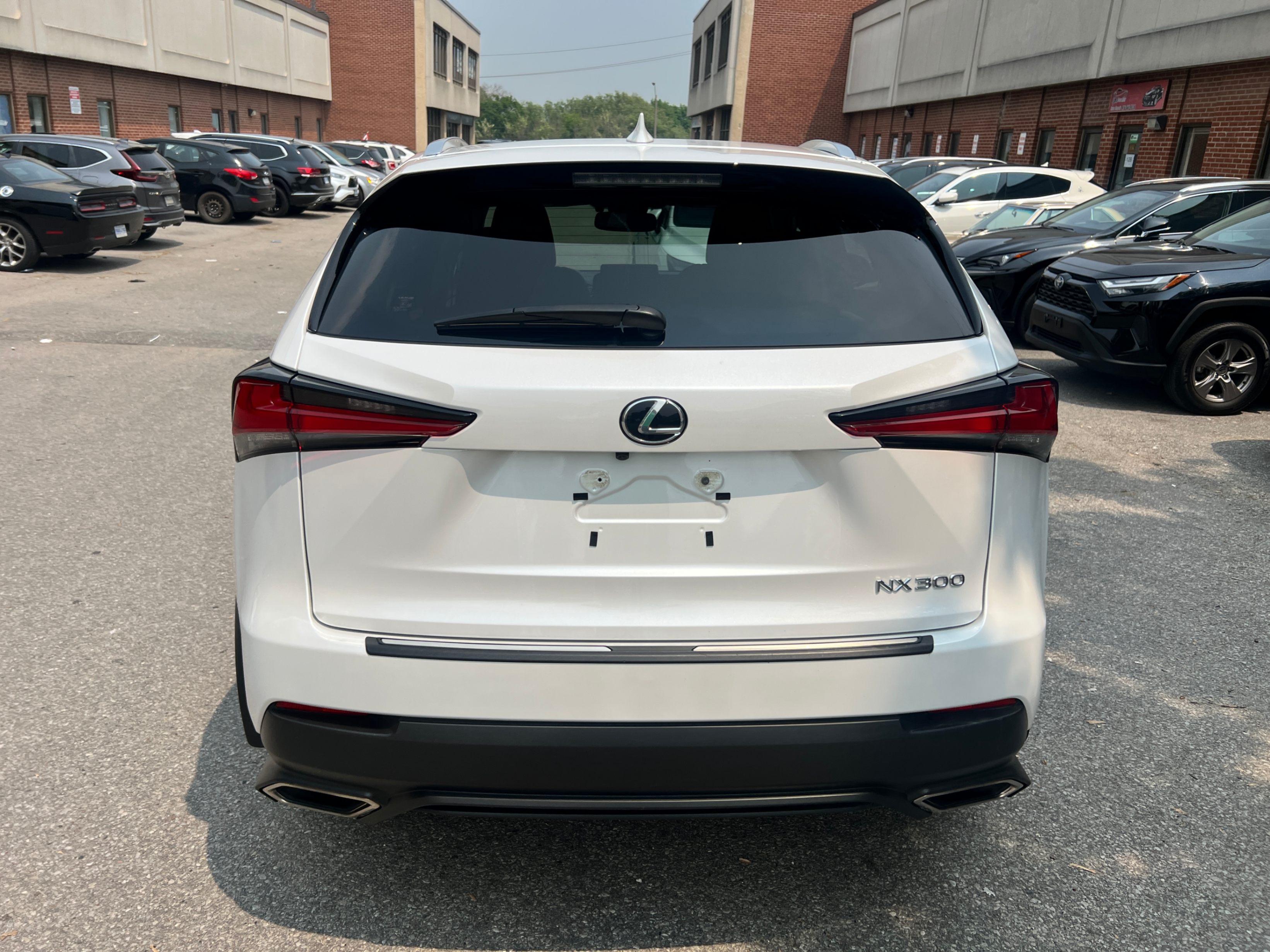 /crownautomobile/2020-Lexus-NX-08651869397906098.jpg