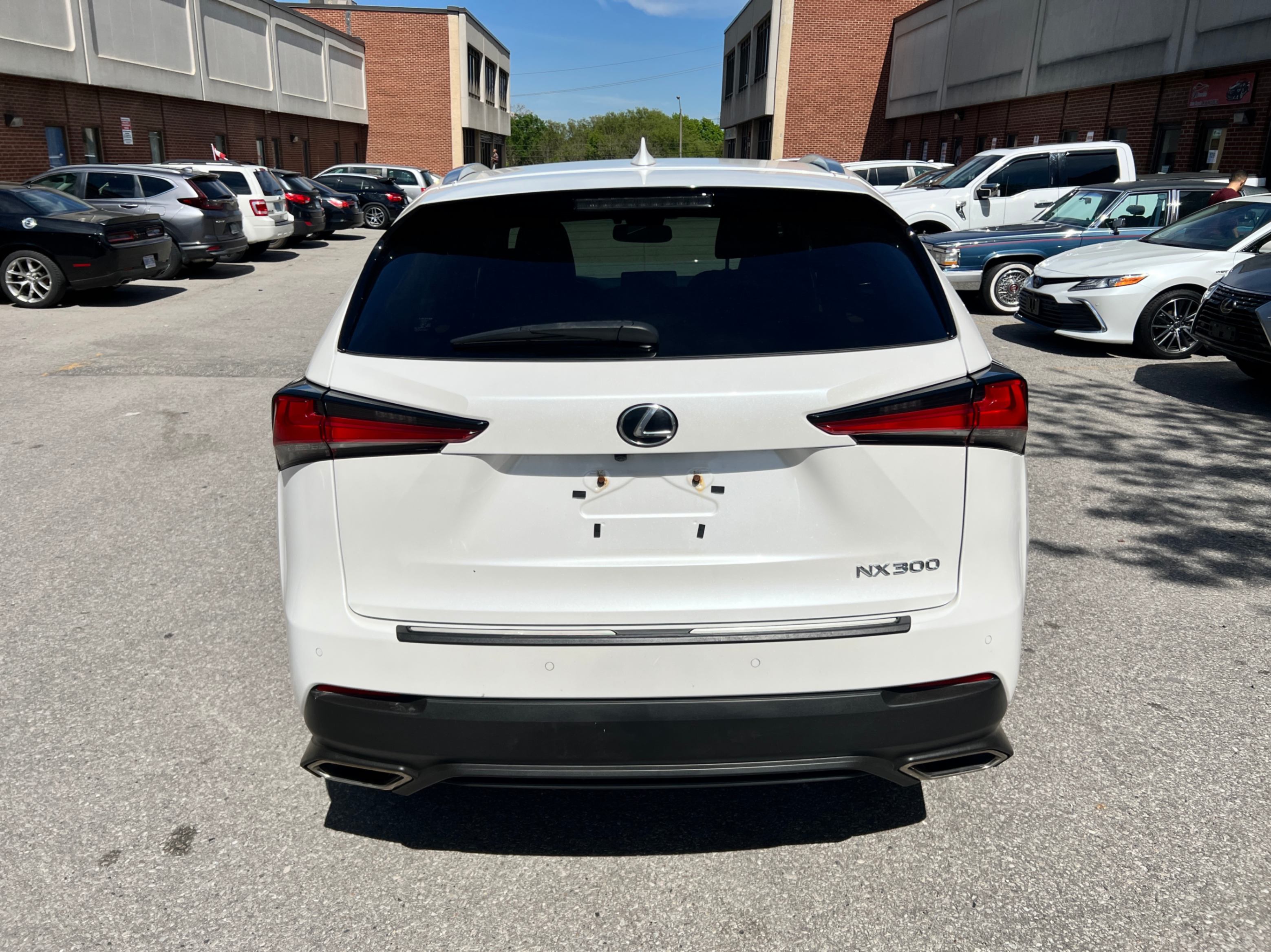 /crownautomobile/2020-Lexus-NX-11026724272843702.jpg